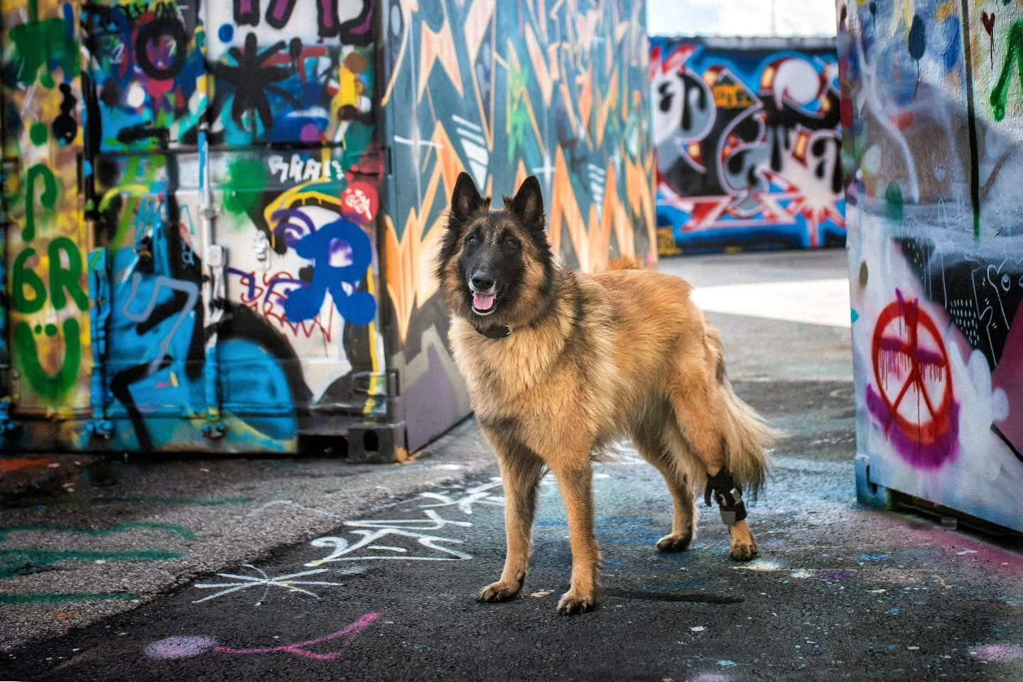 Hyv&auml;&auml; viikonloppua! Marvelilla on ollut rauhallista menoa t&auml;m&auml; viikko, kun pit&auml;nyt palautella viime viikon menosta ja meiningist&auml;.  T&auml;n&auml;&auml;n k&auml;ytiin hakemassa my&ouml;s  librela-pistoksesta virtaa. Ontu