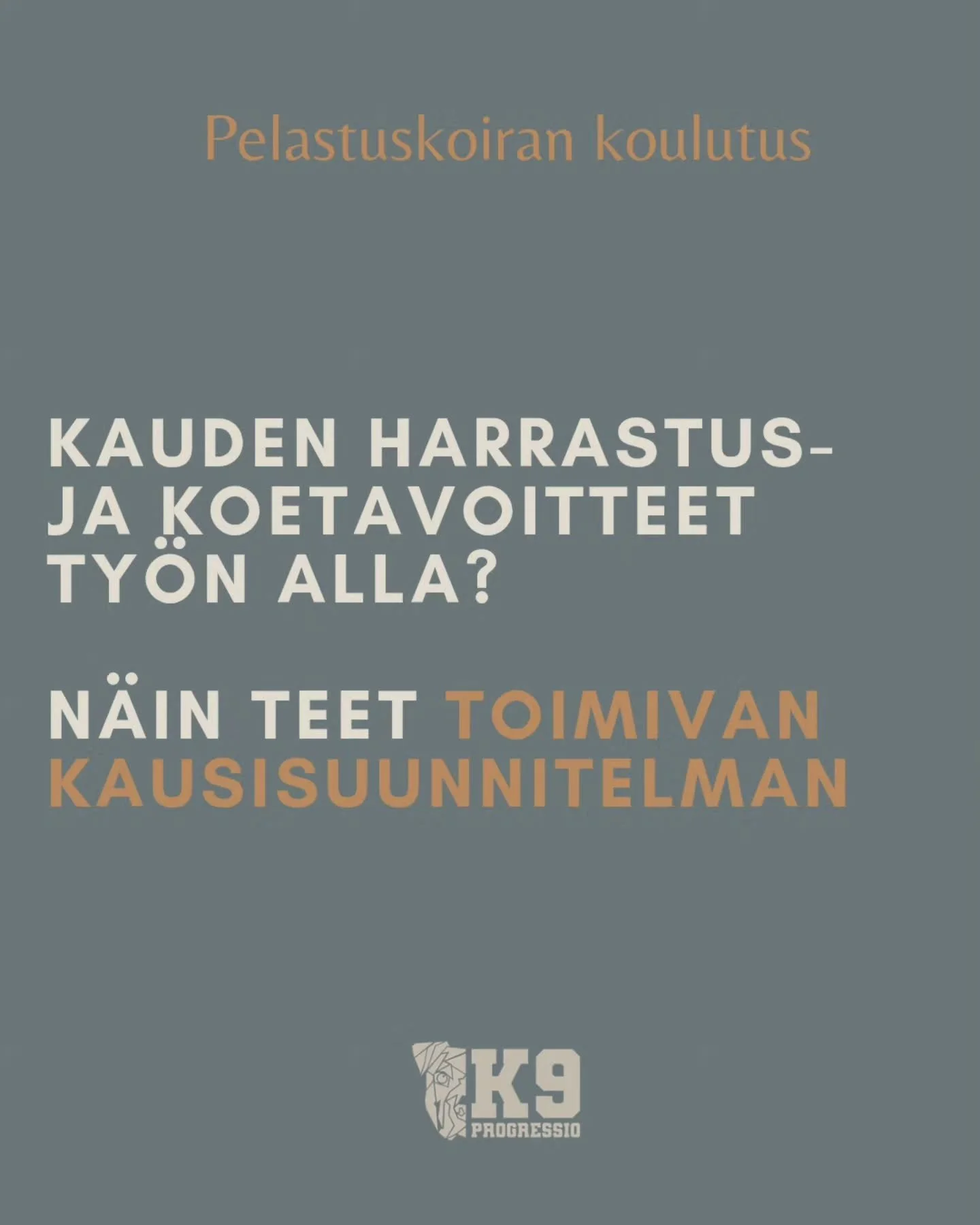 Ota n&auml;m&auml; ohjeet haltuun, kyn&auml; k&auml;teen ja kirjaamaan niin kaudelle 2026 on optimoitu treenisuunnitelma tehtyn&auml; k&auml;den k&auml;&auml;nteess&auml;! Ja sit voi viel&auml; ilmoittautua mukaan Harjoittelun Flow'hun!

#pelastuskoi