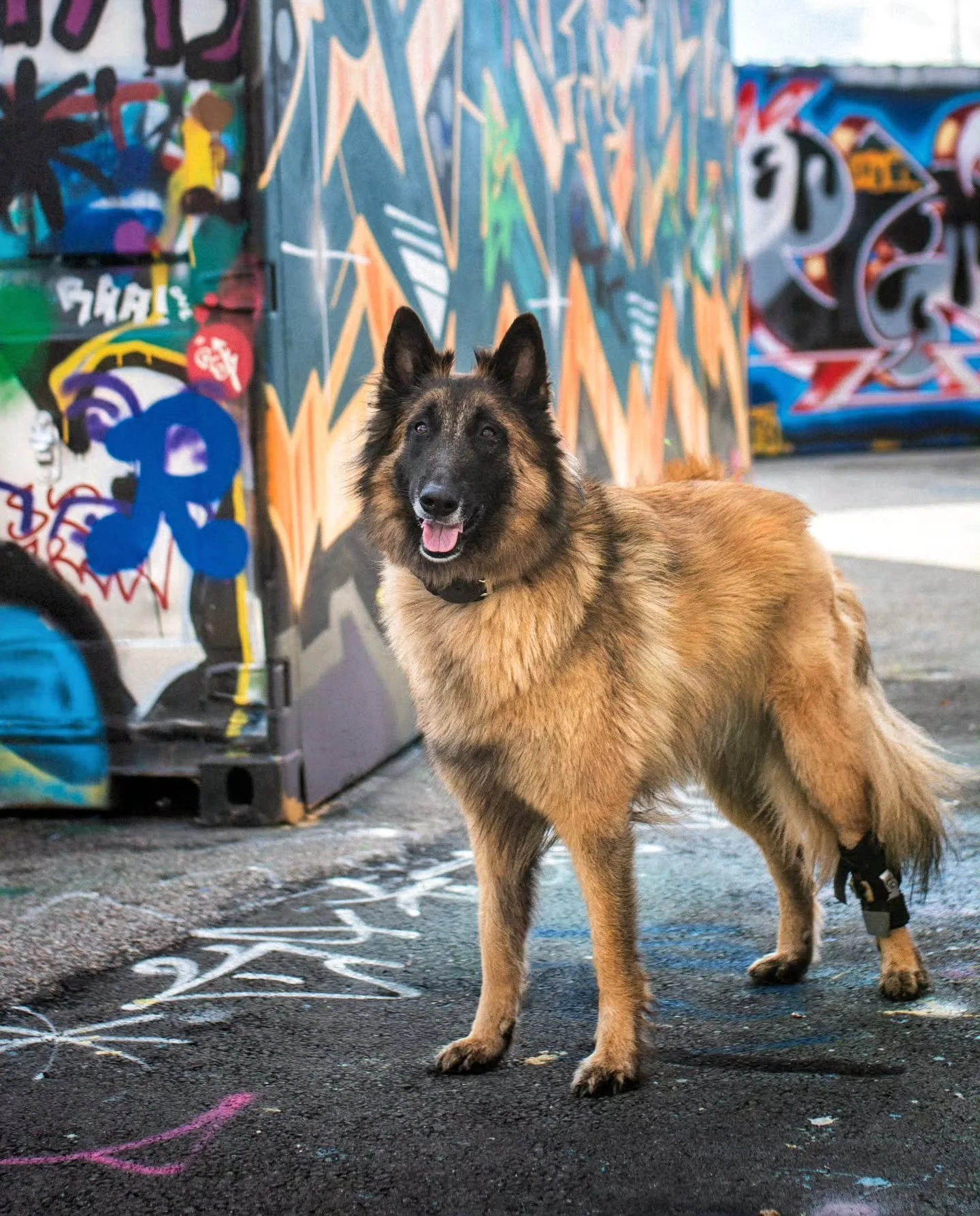 T&auml;ytyy sanoa,  ett&auml; jos joku on el&auml;nyt nimens&auml; mukaisesti niin se on Marvel (=ihme). Tammikuun kontrollissa mietittiin kuinka pitk&auml;lle sit&auml; on tultukaan ja nyt operoinut ortopedikin lopulta uskalsi sanoa, ett&auml; oli s