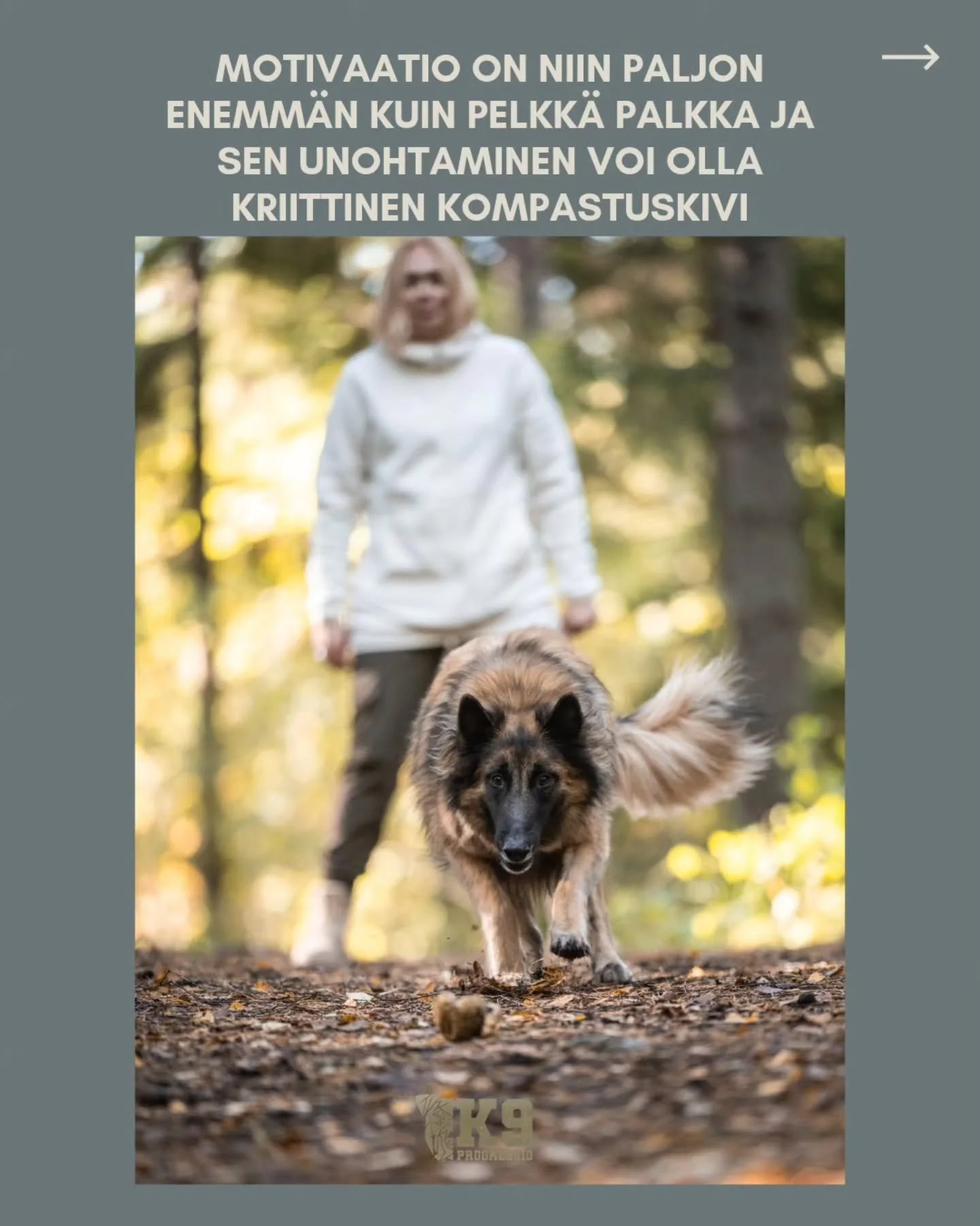 Mit&auml; on motivaation rakentaminen?

Se on muun muassa
-harjoitteiden sopiva vaikeustaso, miss&auml; koira saa tihe&auml;sti onnistumisen kokemuksia
-koiran toleranssin, vallitsevan ymp&auml;rist&ouml;n ja harjoitteiden vaikeusasteen keskin&auml;i