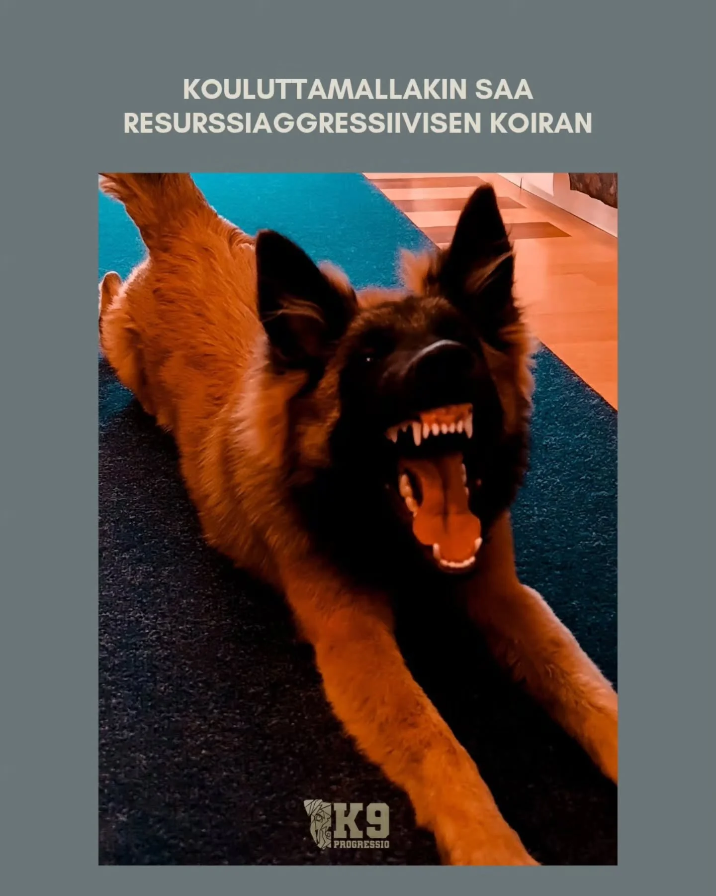 Resurssien puolustamiseen, sen voimakkuuteen ja ilmenemiseen vaikuttaa moni asia. T&auml;rke&auml;&auml; on muistaa, ett&auml; se voi olla my&ouml;s opittua! Se ei tarkoita mit&auml;&auml;n yksitt&auml;ist&auml; huonoa kokemusta, vaan esimerkiksi toi