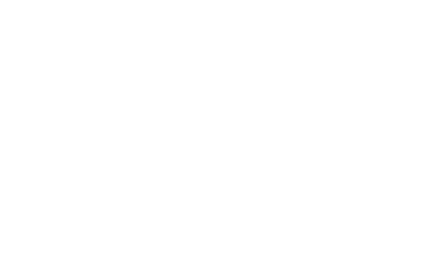 K9Progressio - koirankouluttaja Laura Salo