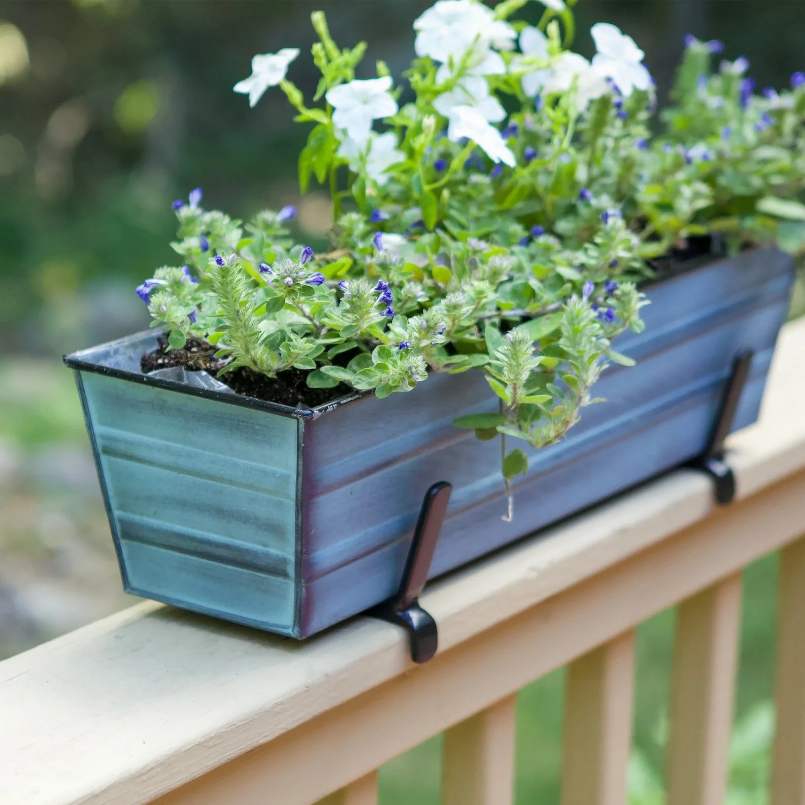 bloom box for Railings