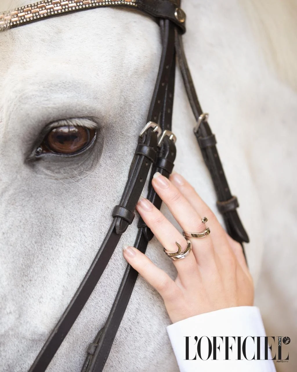 WhatsApp Image 2025-10-10 at 15.05.11.jpeg