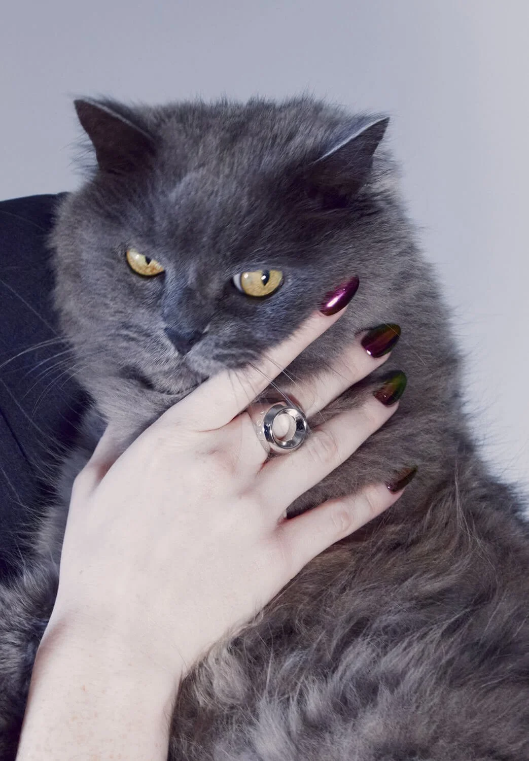 Un chat gris avec des yeux jaunes, tenu par une main avec des ongles vernis sombre et portant une bague argentée.
