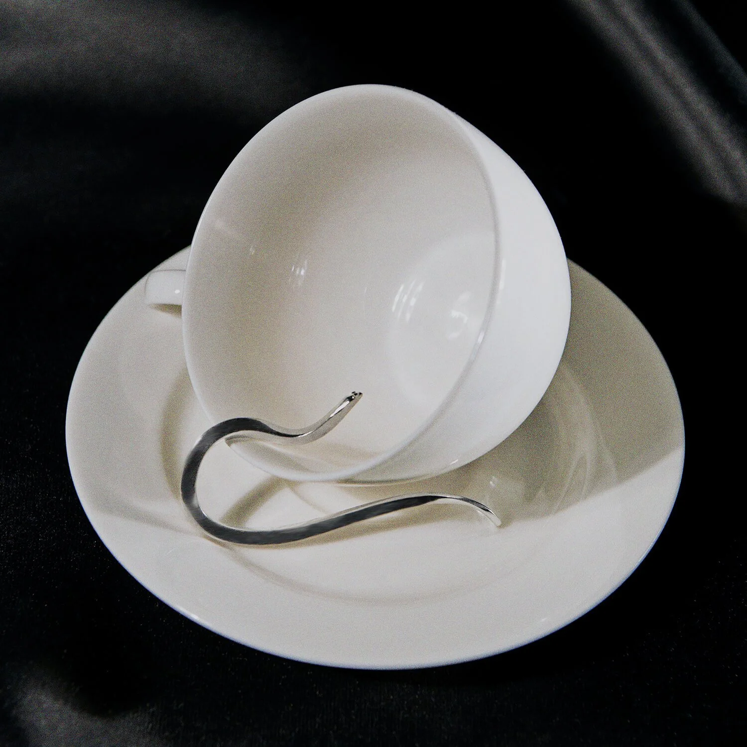 bijou d'oreille serpent argent