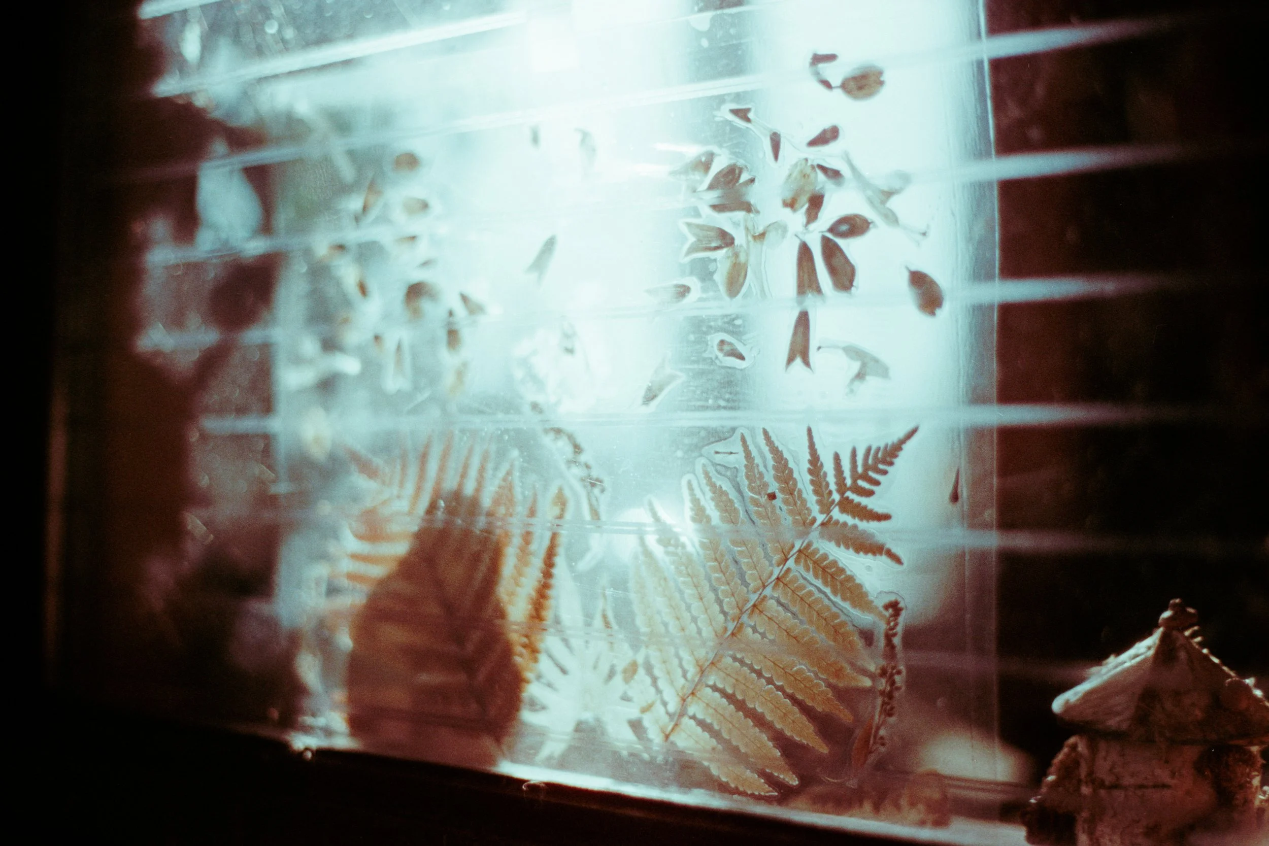 CineStill400D (4).jpg