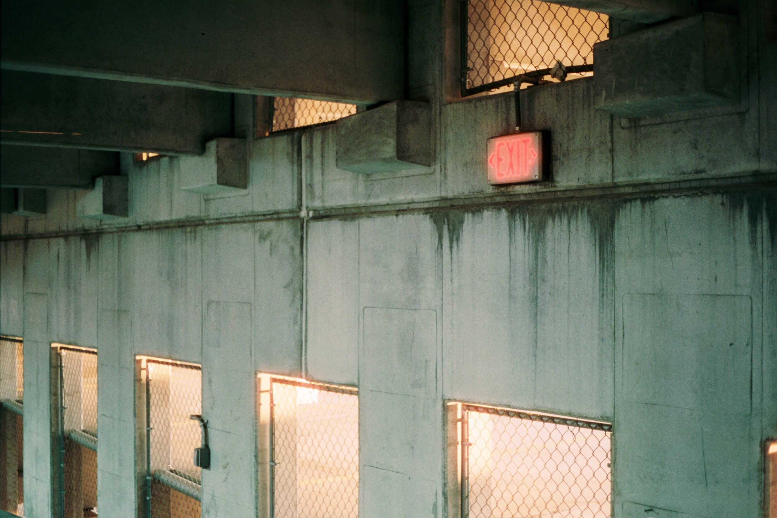 CineStill400D (9).jpg