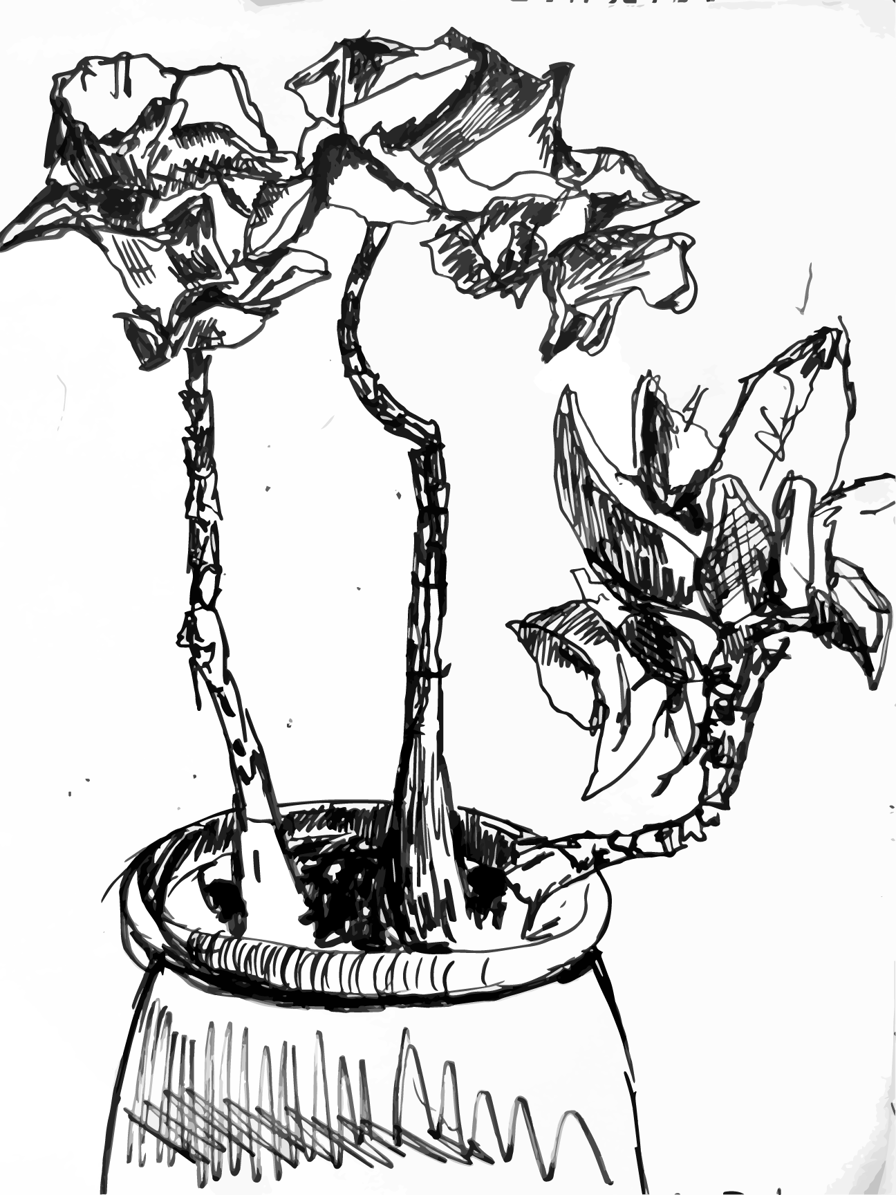 IMG_0167 3 2.PNG