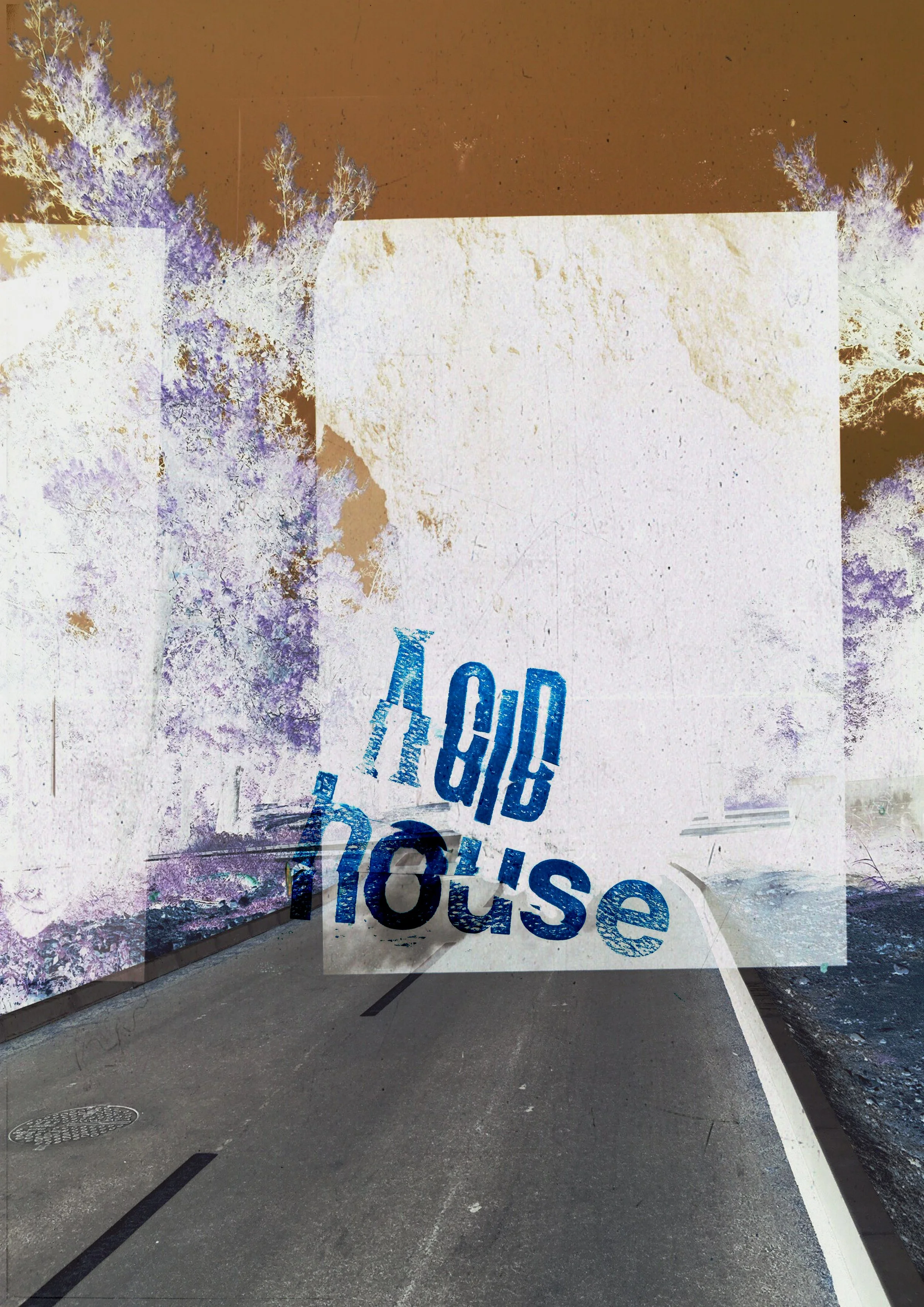 acidhouse13.jpg
