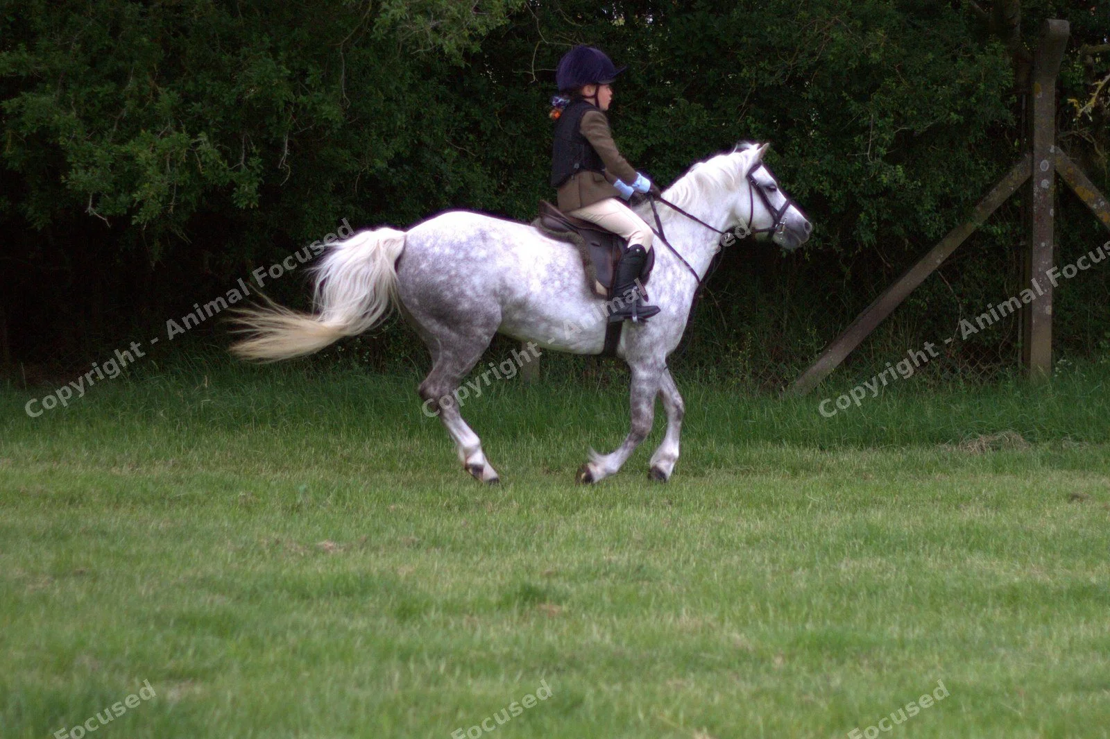 246marked.jpg