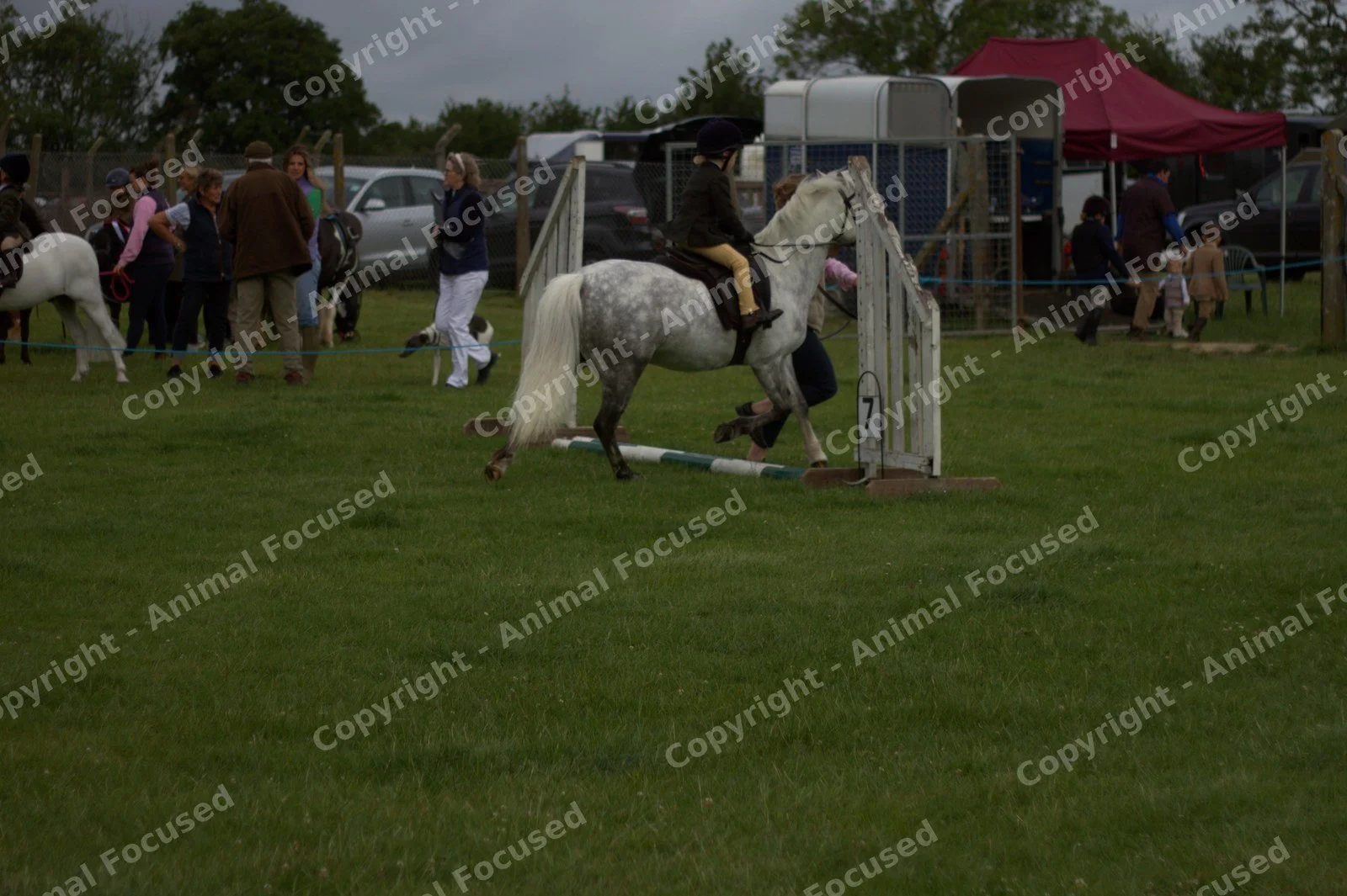 169marked.jpg