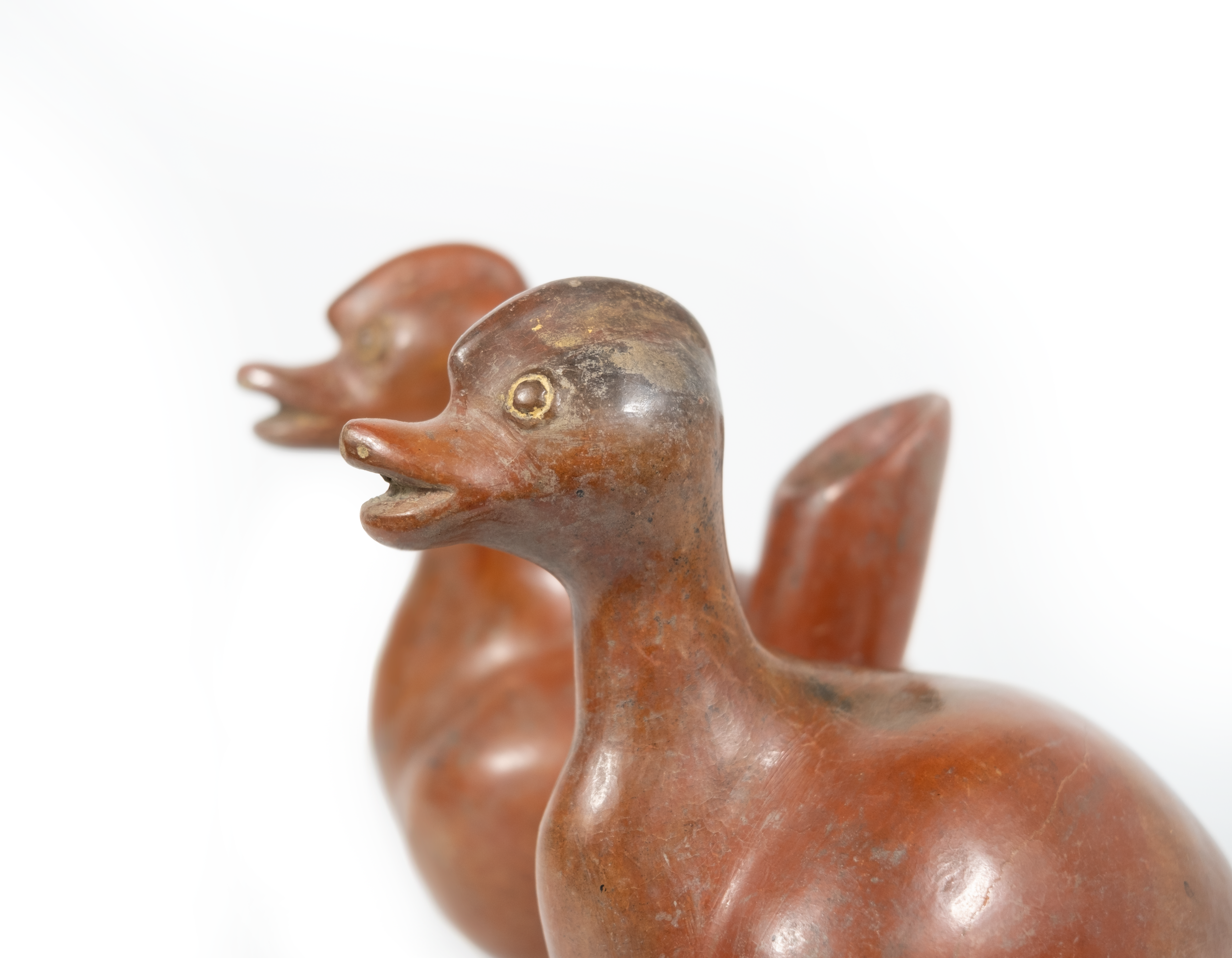 chicken5.png