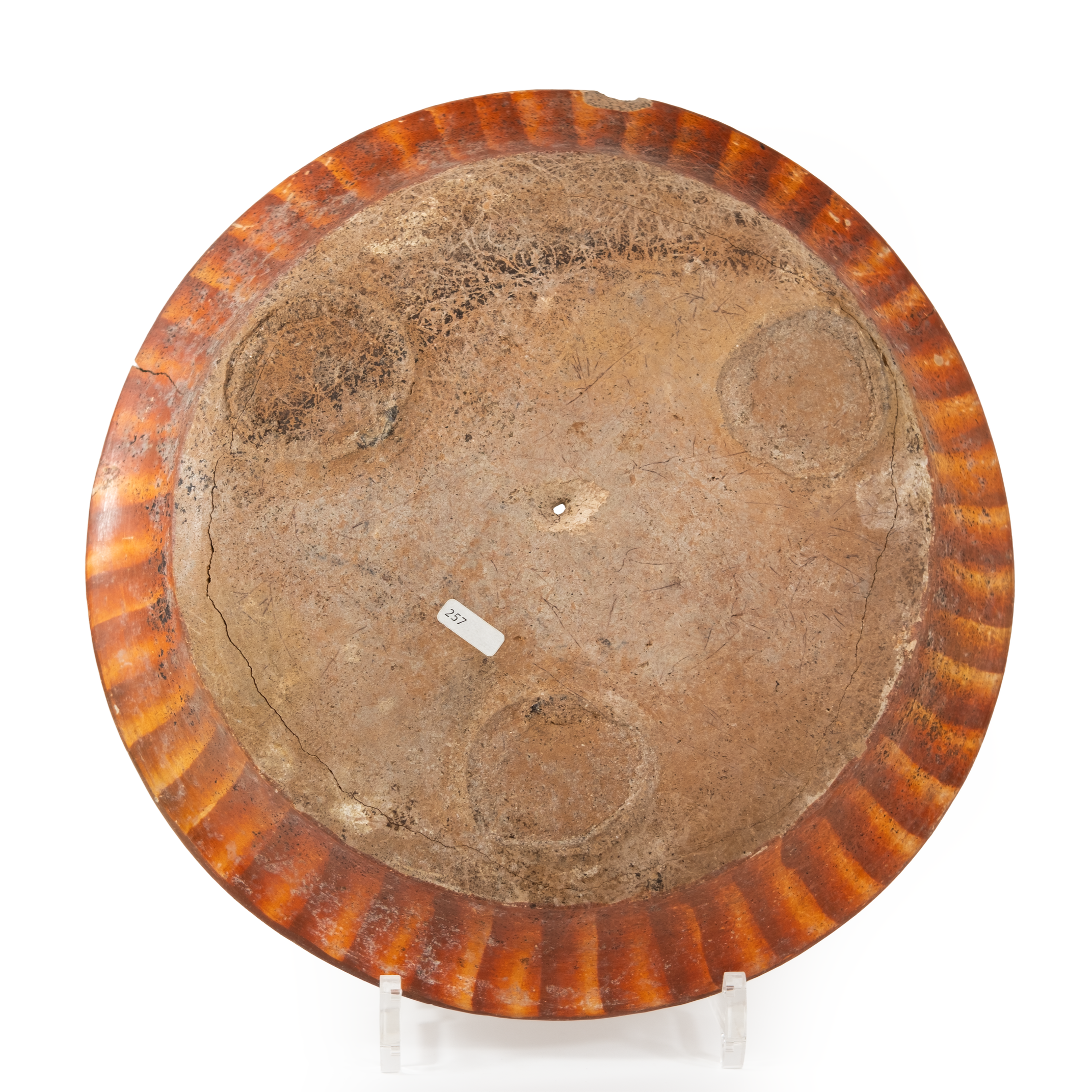 plate3.png