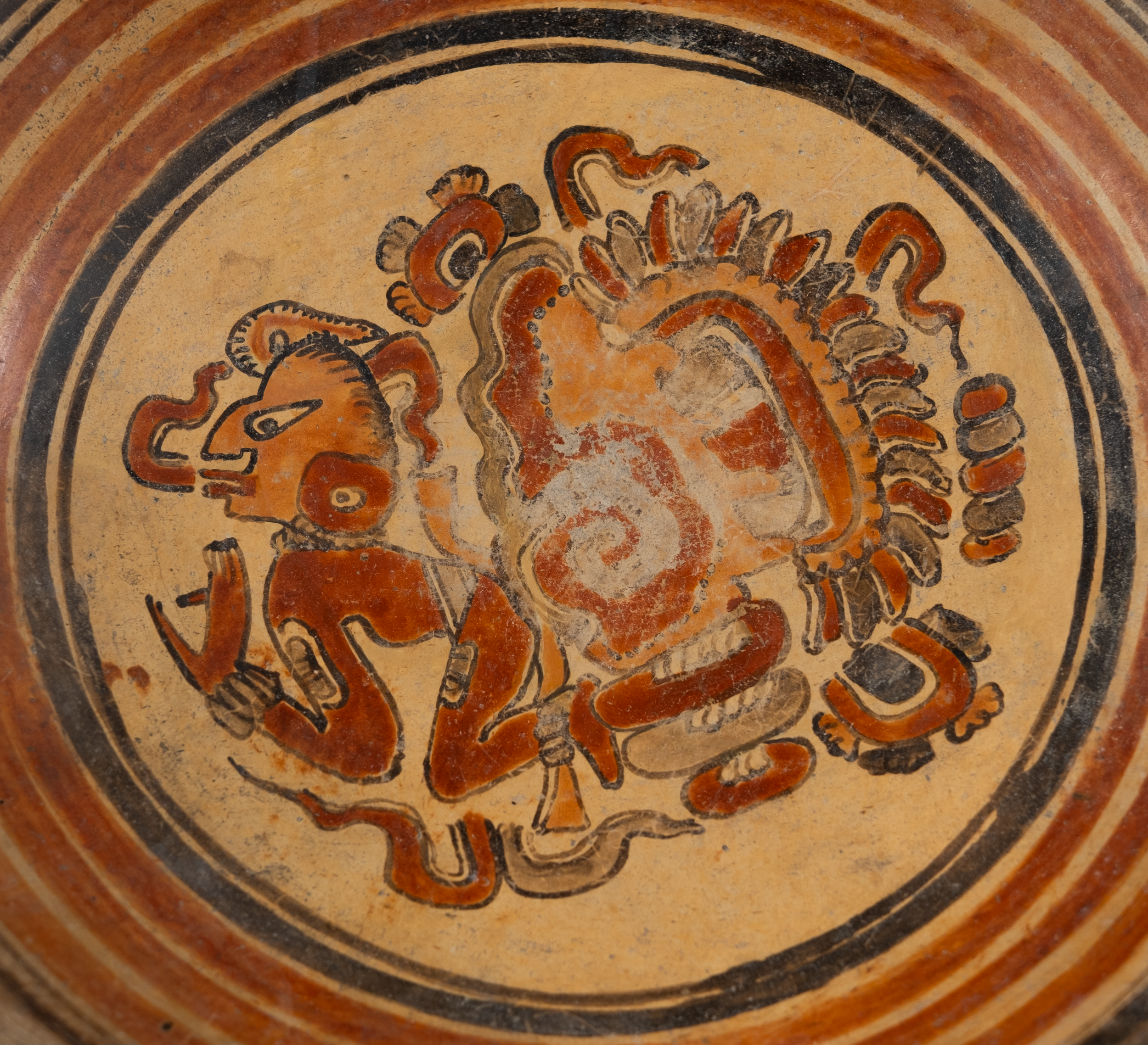 plate21.png