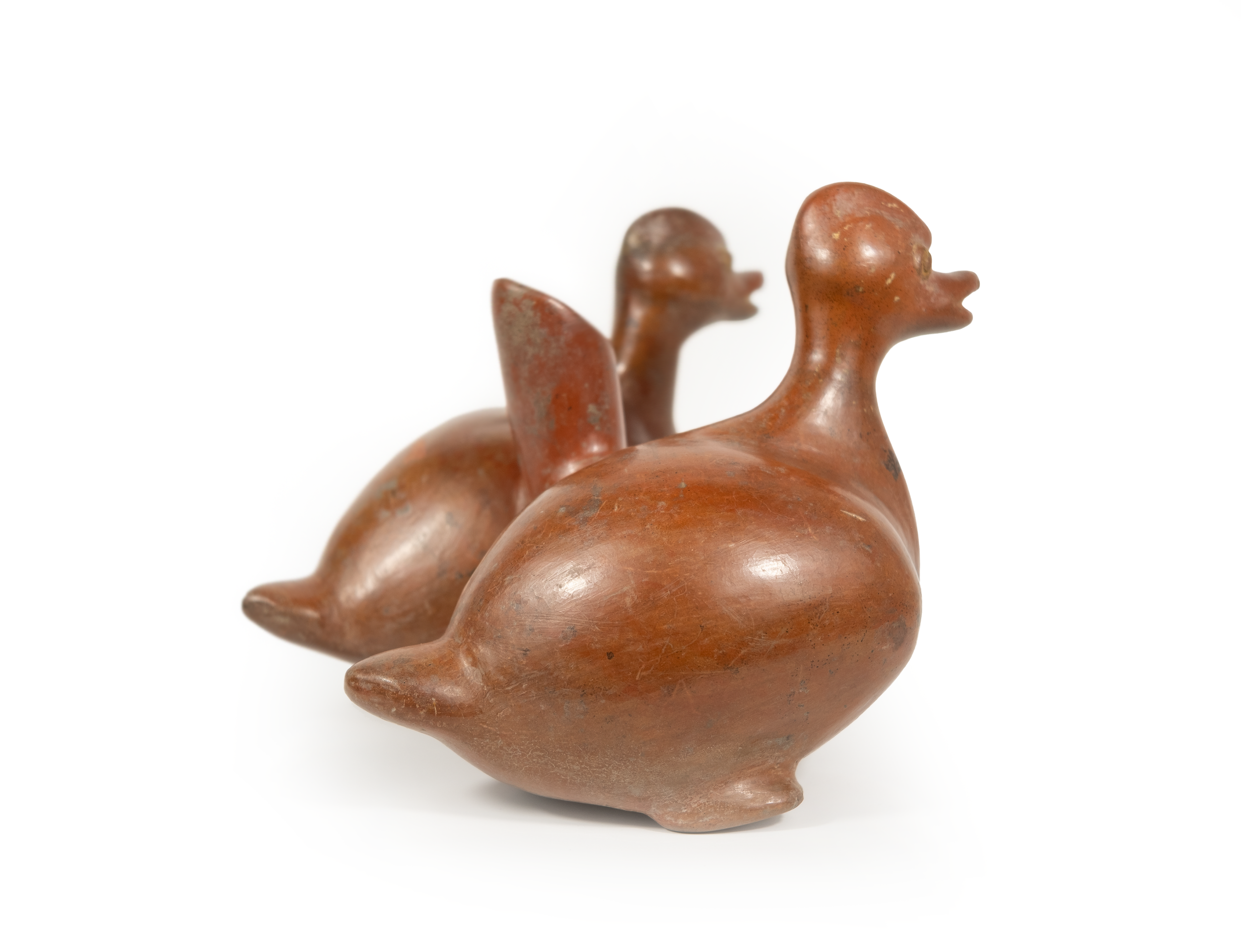 chicken3.png