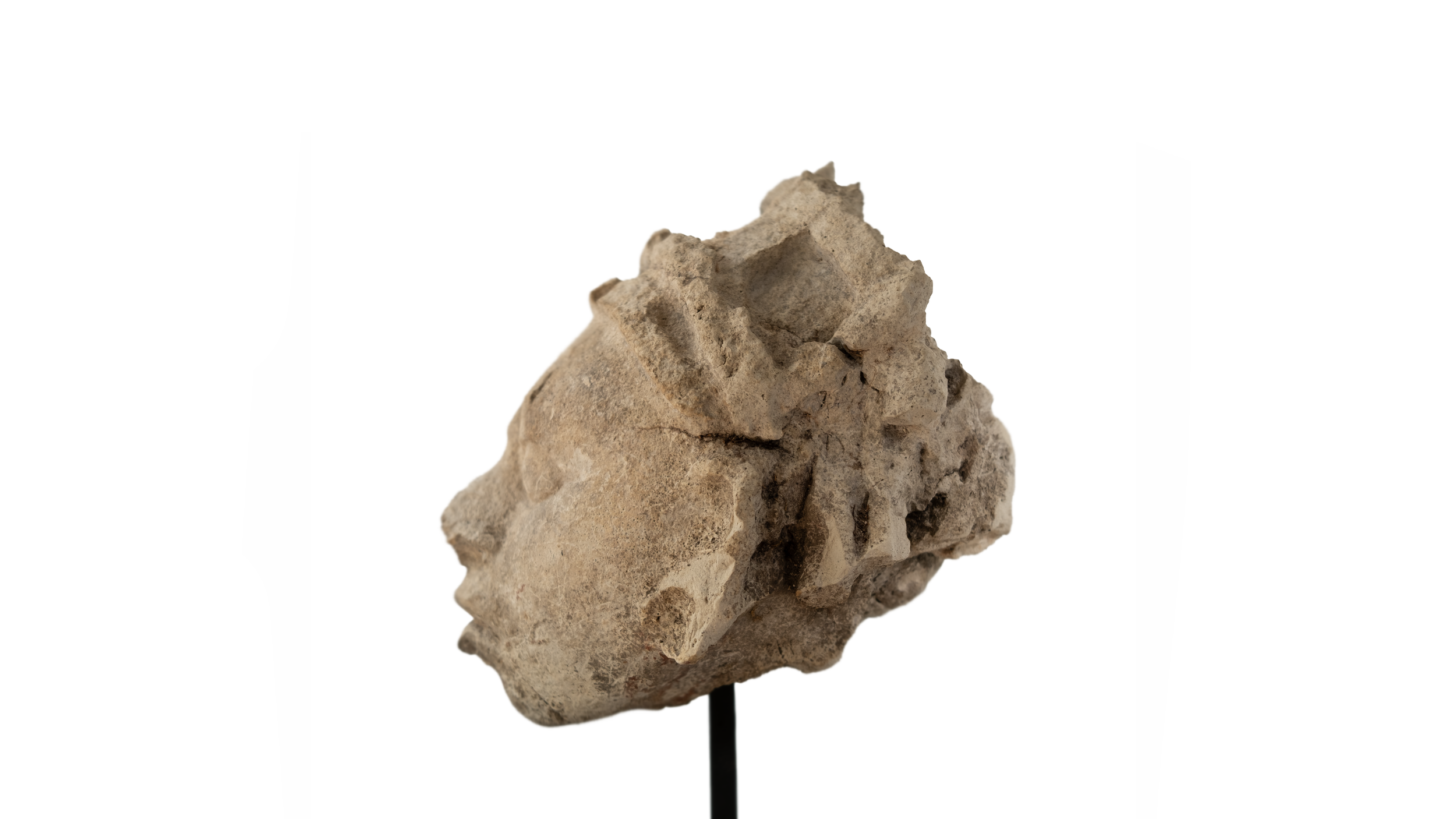 stuc1267654.png