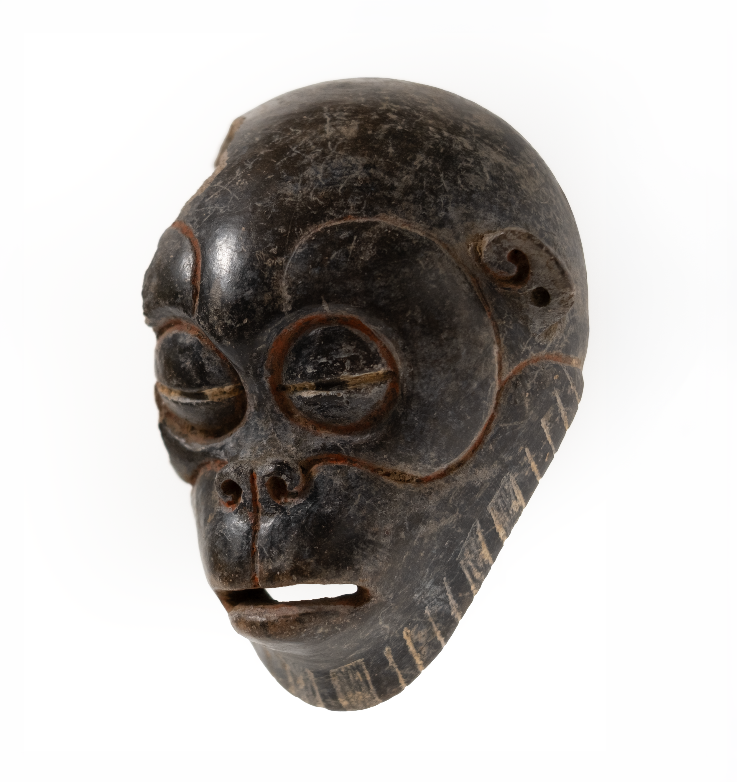 Fragmented Monkey Head