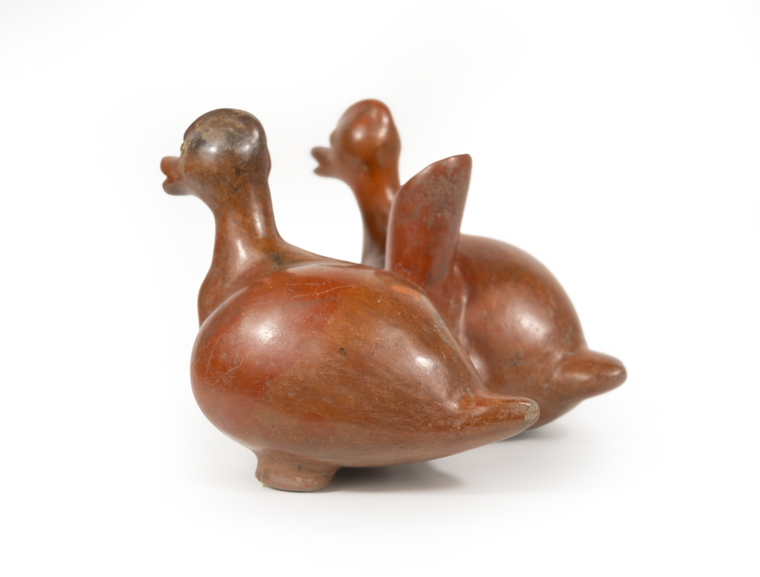 chicken2.png