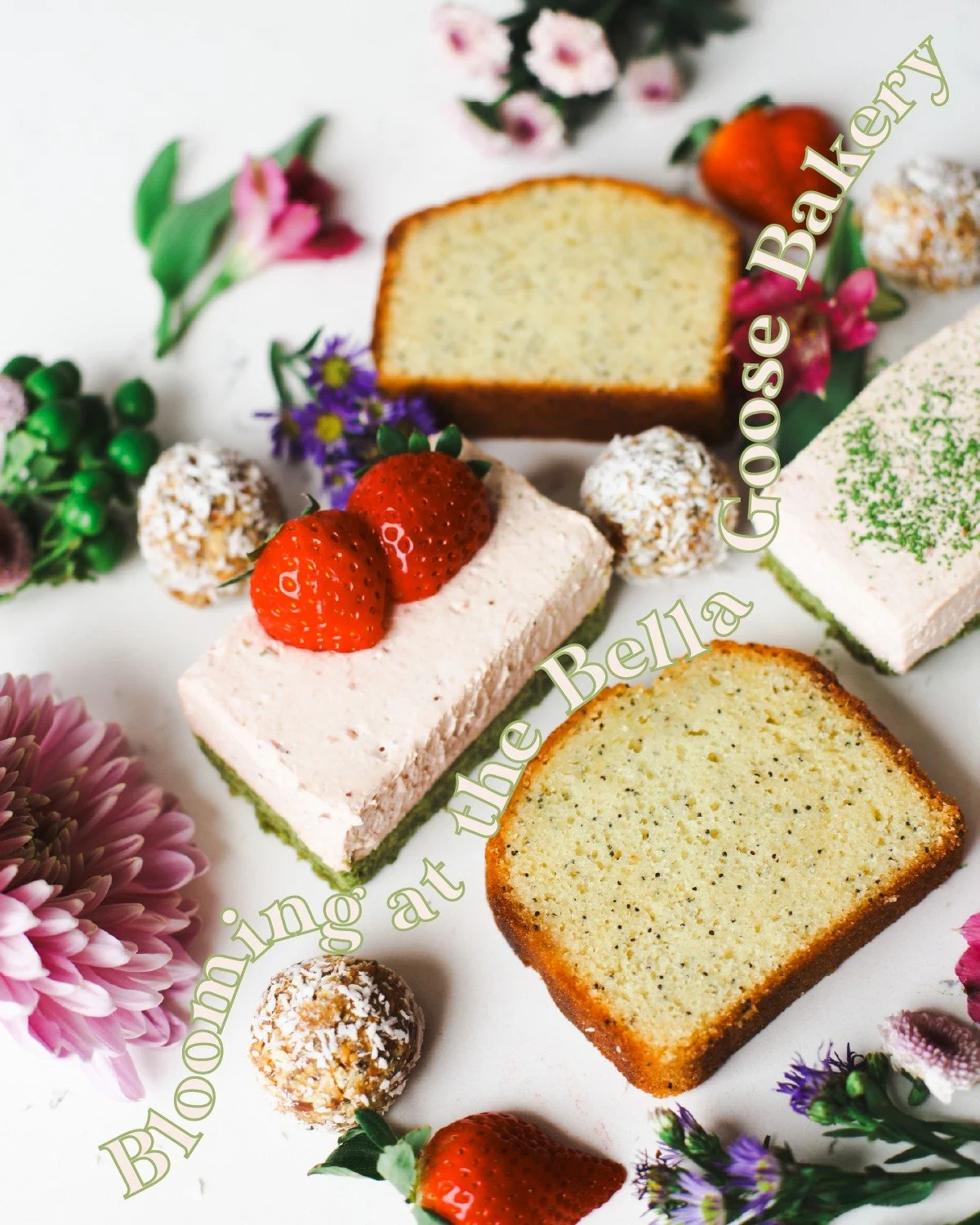 New sweet treats blooming from the Bella Goose Bakery!

#wisconsindells #wisconsinbakery #bellagoose #localcoffeeshop #wisdells