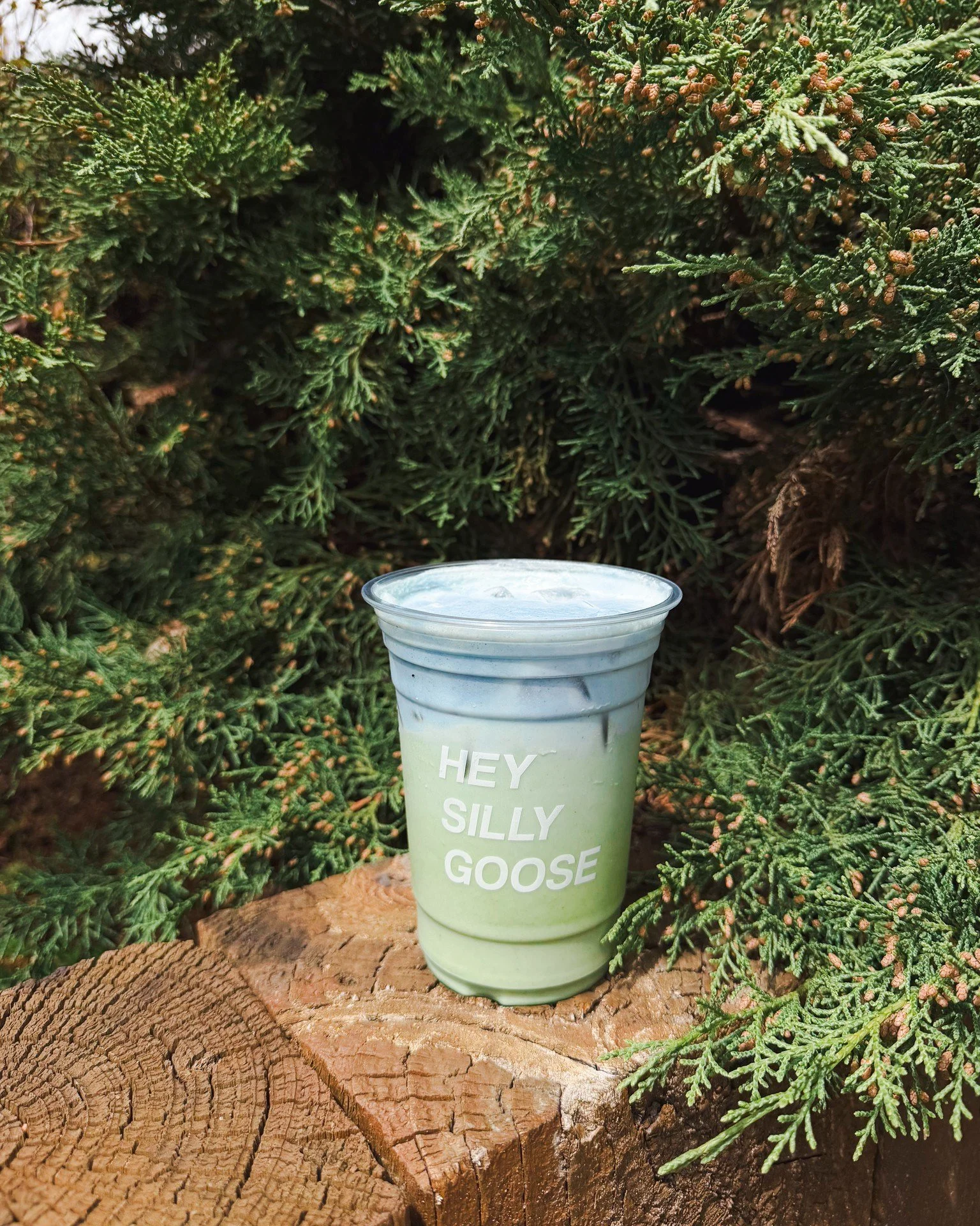 LIMITED DRINK DROP🌎The Planet Earl!

In honor of Earth Day this Wednesday, our  baristas created a land and sea look of a latte with the Planet Earl! 

-Iced match latte, house earl grey syrup, earl grey + butterfly pea flower cold foam 
-20% off Pl