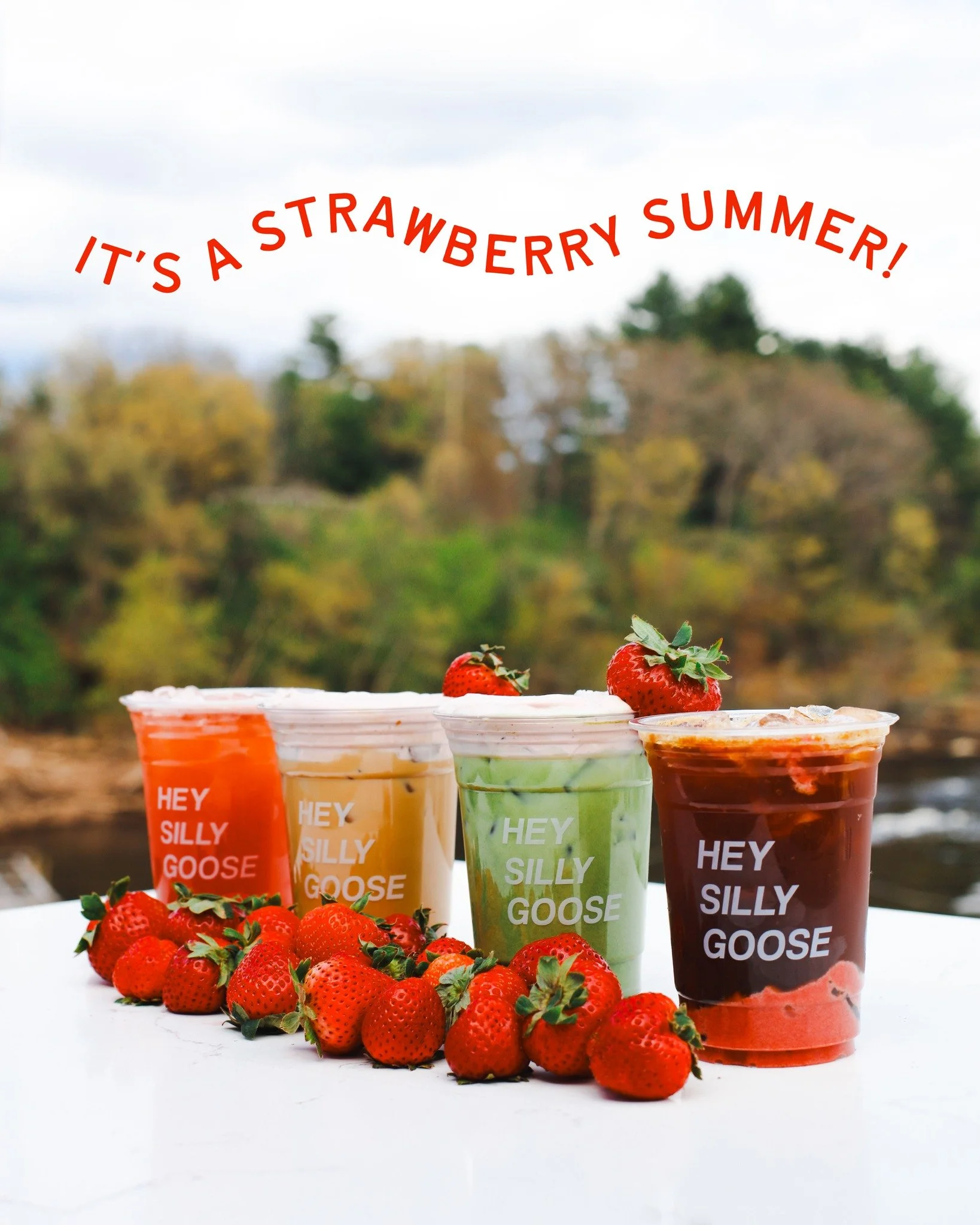 🍓SUMMER DRINK DROP🍓

It's a strawberry summer at Bella Goose! Say hello to this summer's drink lineup:

-Berries &amp; Cream: iced vanilla latte + strawberry cold foam
-Strawberry Fields: iced vanilla matcha latte + strawberry cold foam
-'Spro Spri