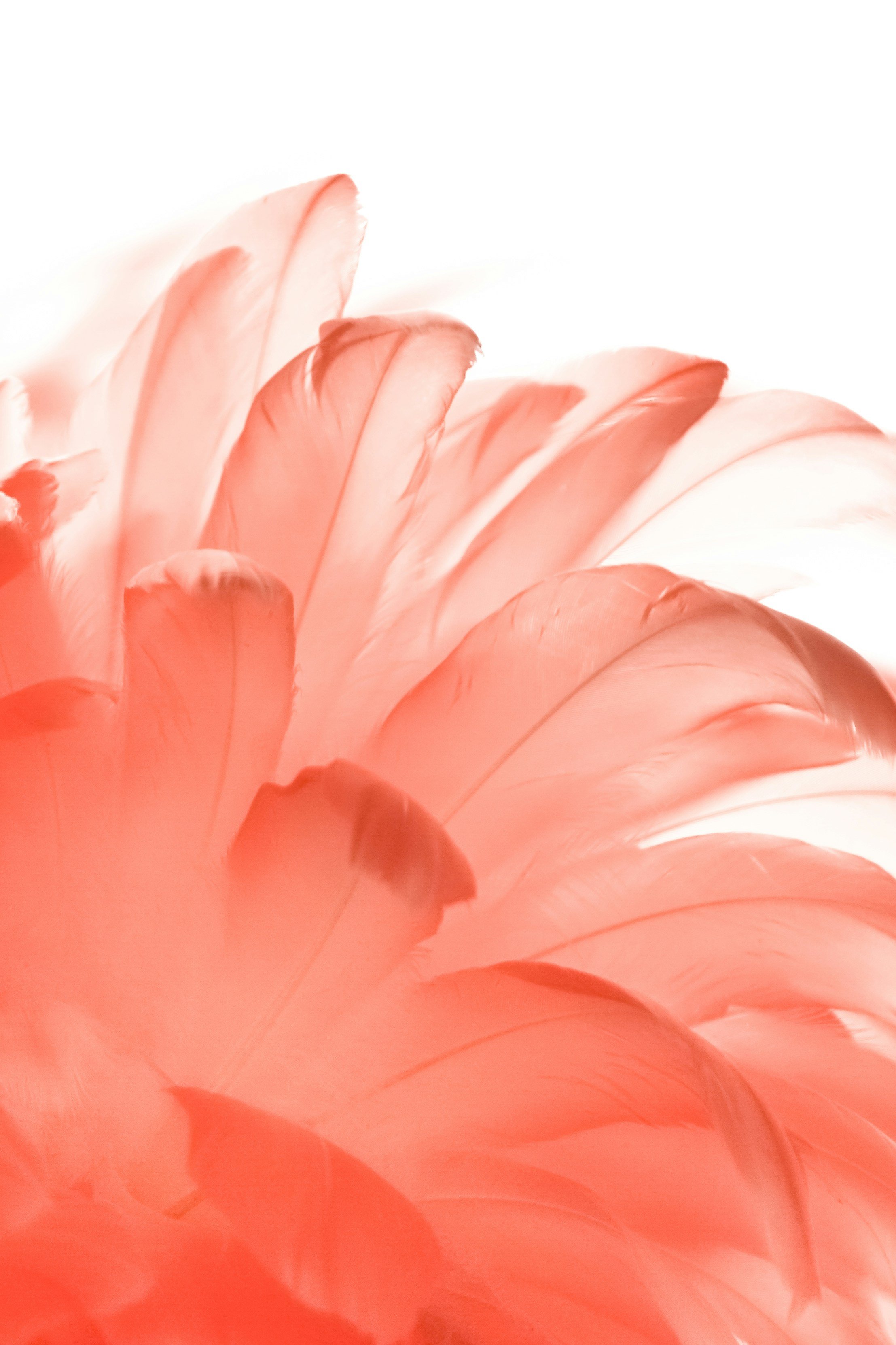 It’s time to let go of the drama &amp; rediscover humanity