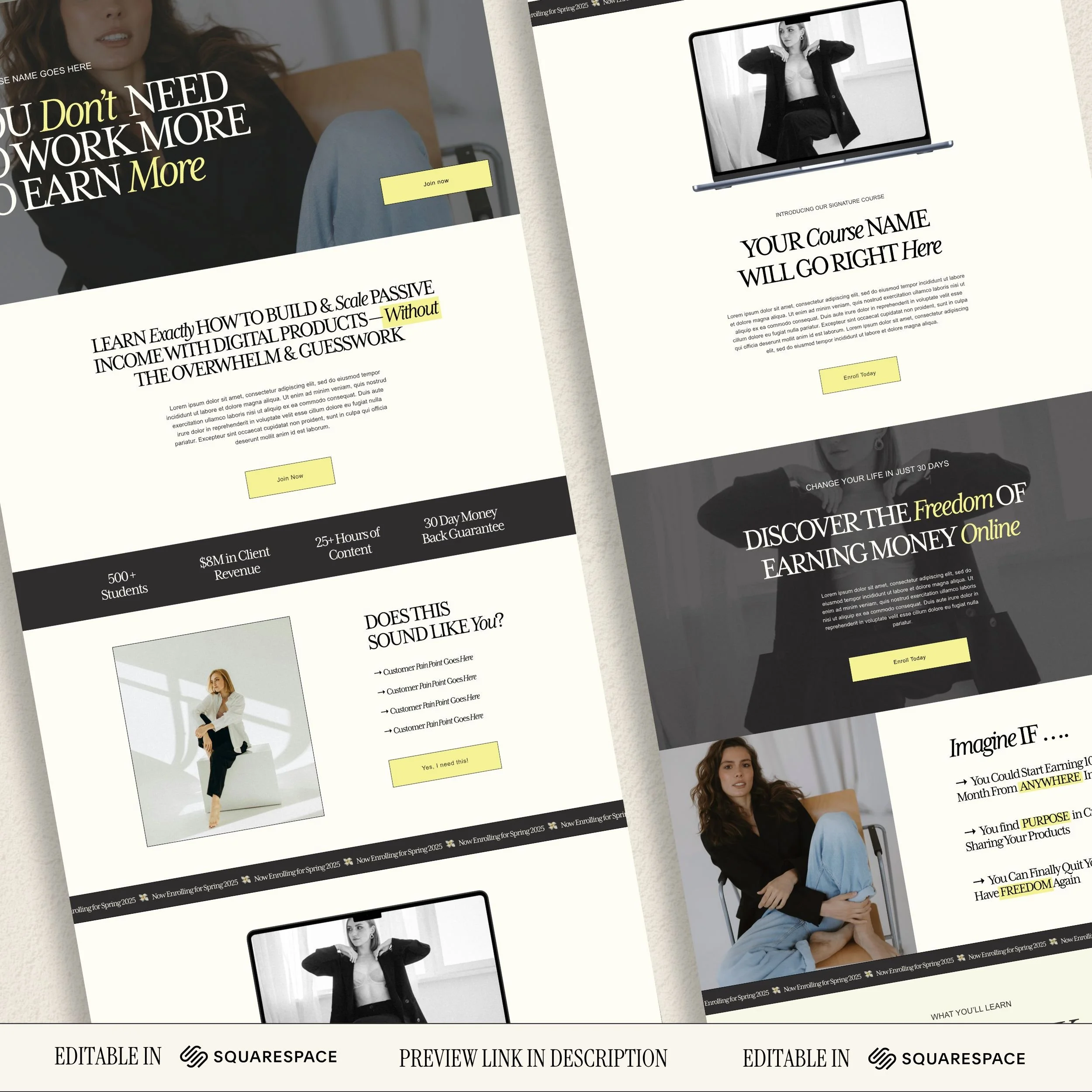 Premium PLR Squarespace Sales Page Template — Passive PLR