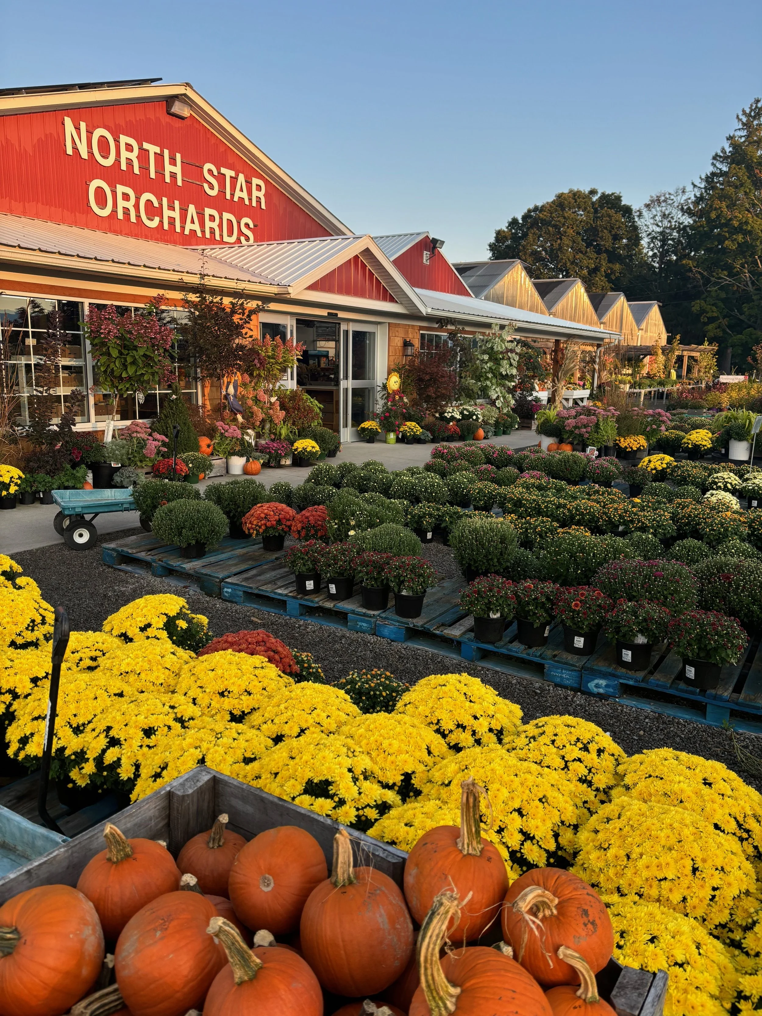 North Star Orchards