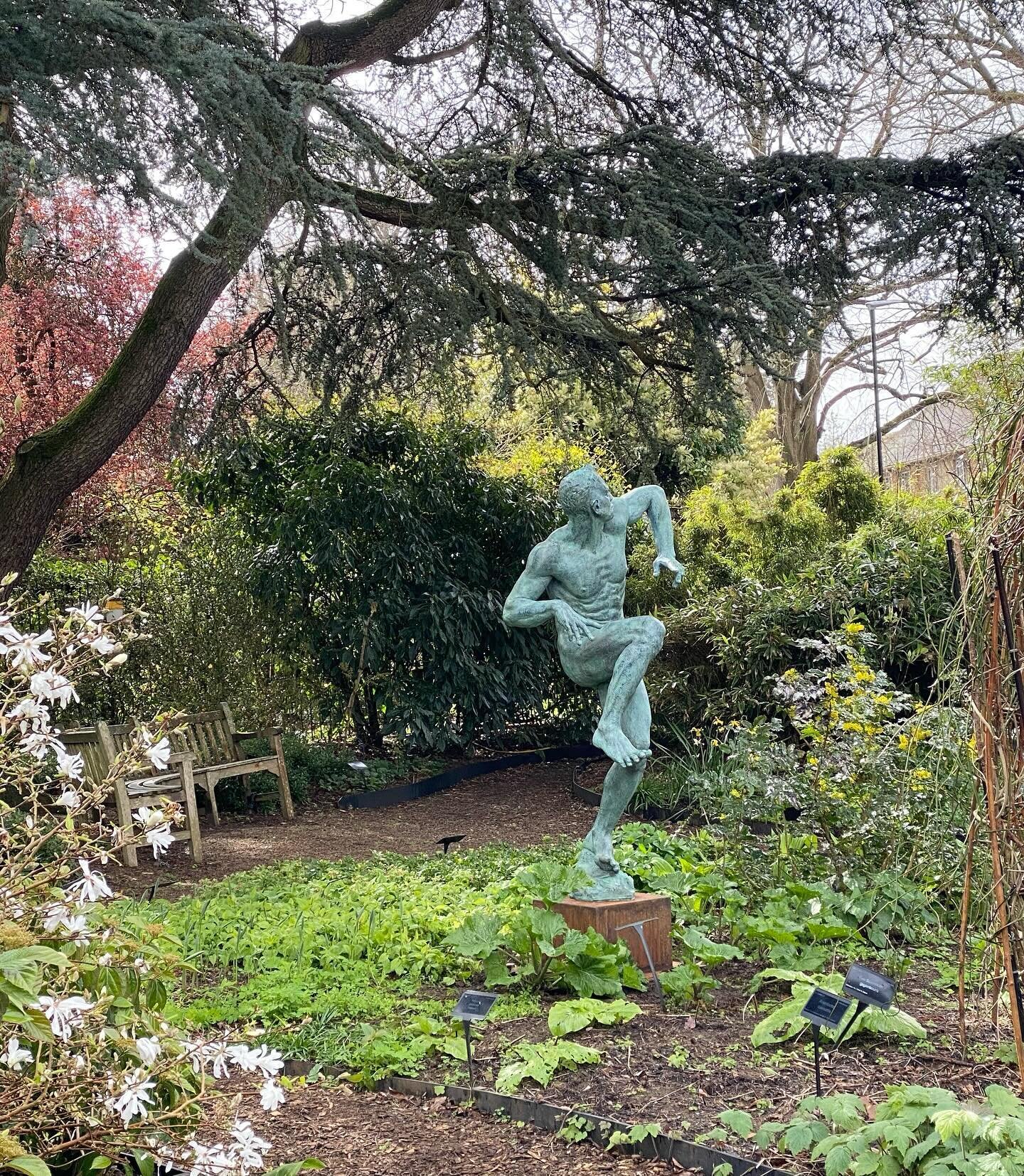 Icarus Freestyles in another garden ! 
#icarus #bronze #sculpture #bronzesculpture #classicalart #gardendesign #gardeninspiration #gardenlovers #gardensculpture #gardenstatue