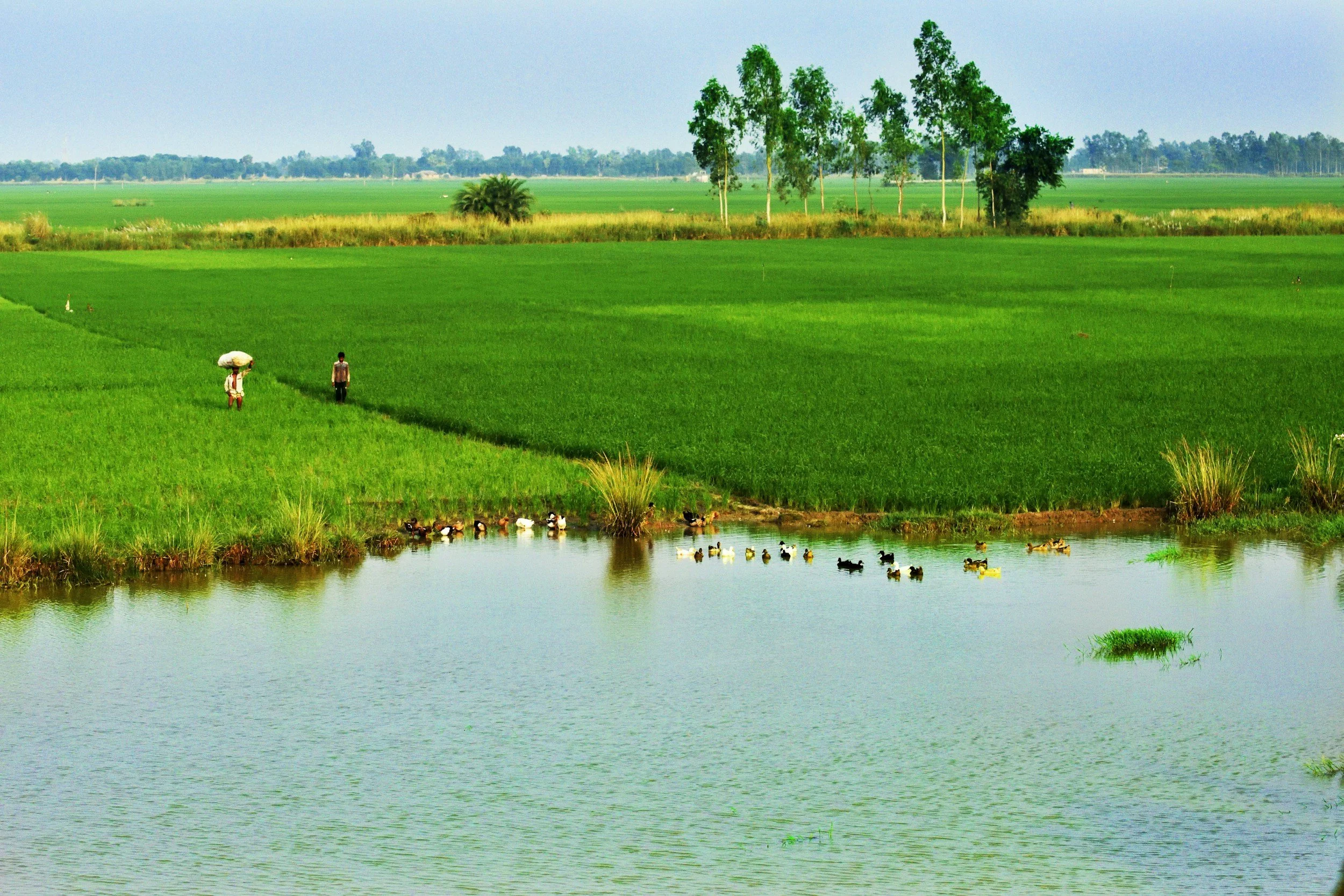 Project Design for 'Gender-responsive Coastal Adaptation' Programme for UNDP Bangladesh