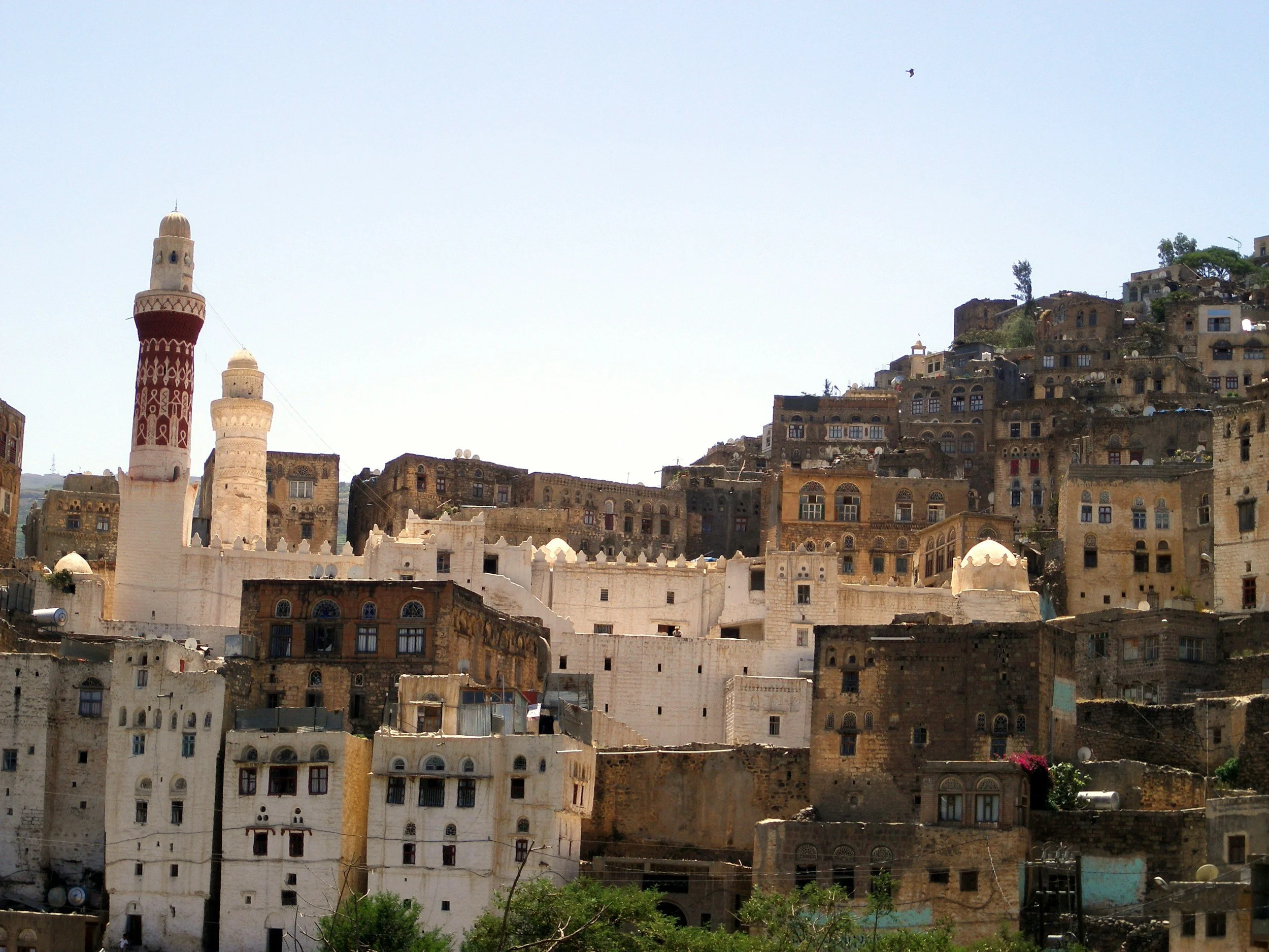 Building Capacity for the National Adaptation Planning Process in Yemen&nbsp;