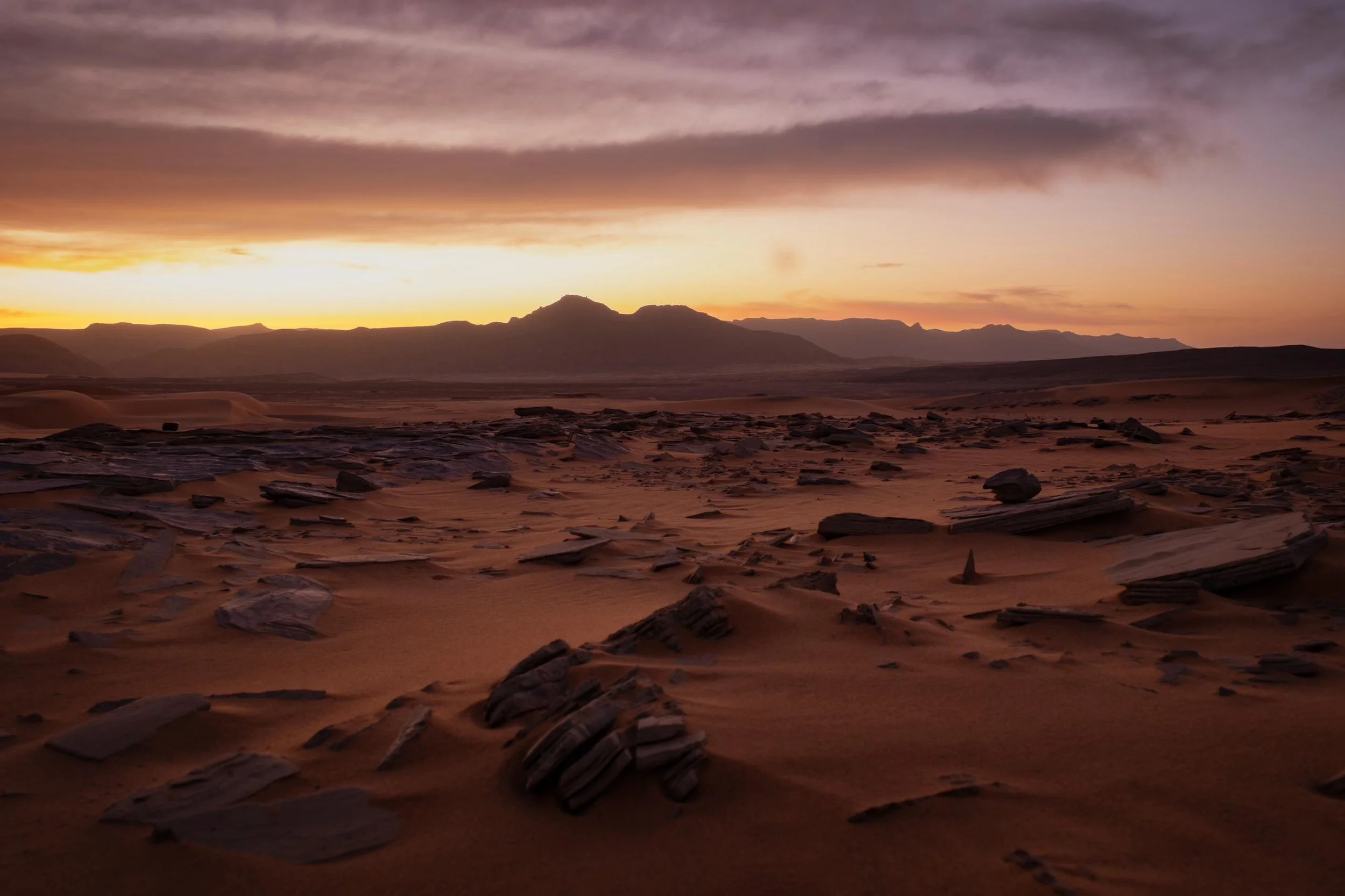 Algerien-Fotoreise-2026-Tag 2_3.jpeg