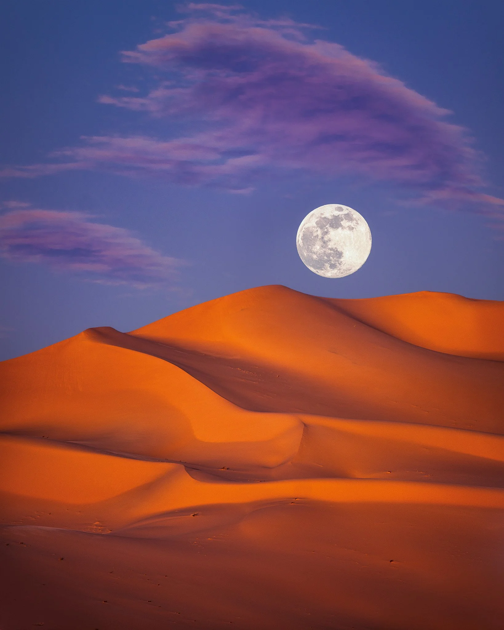 Algerien-Fotoreise-2026-Tag 6_3.jpg