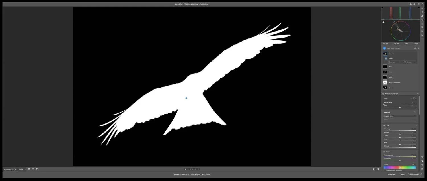 cropfactory-webinar-michel-mayerle-alle-maskierungswerkzeuge-in-lightroomcamera-raw-im-ueberblick-08.jpg