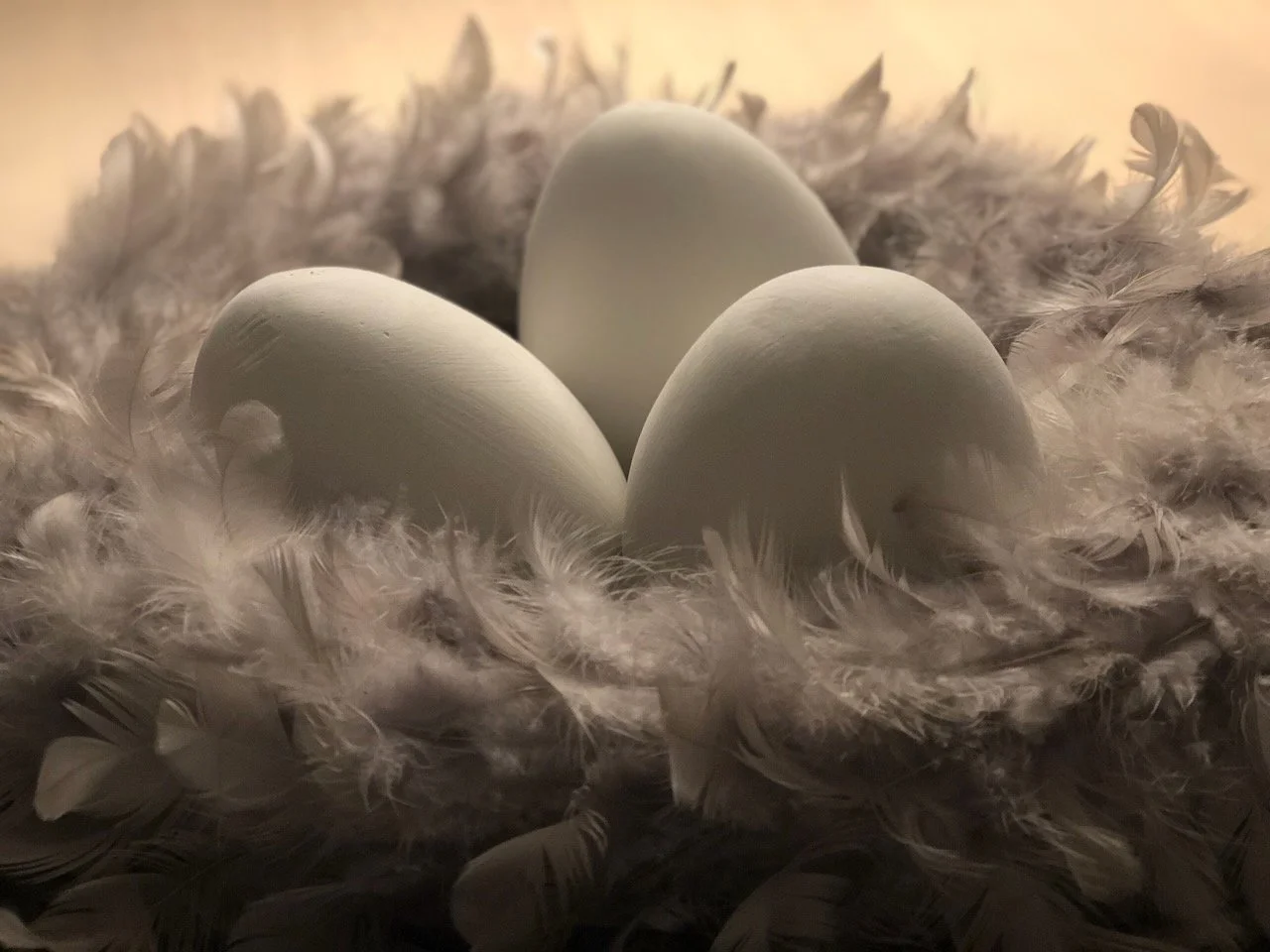 Deluxe_Living_Room - 5.jpeg