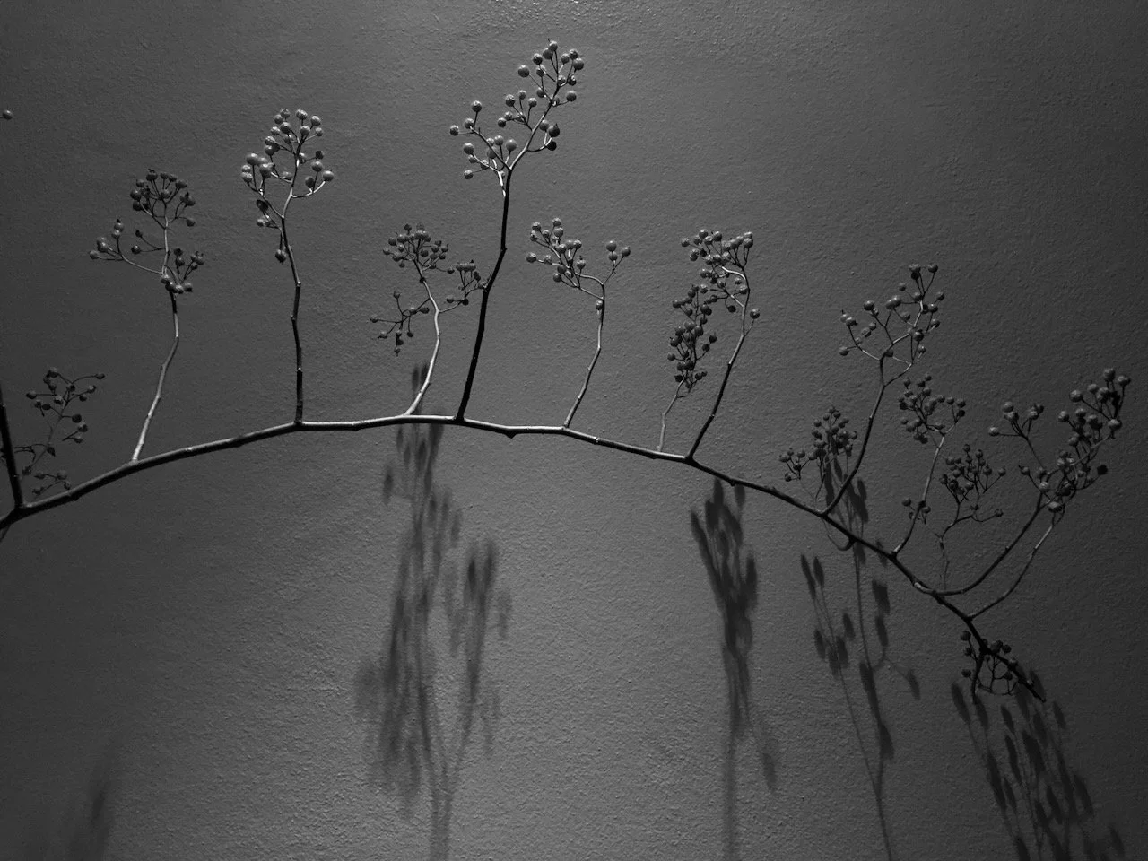 Deluxe_Living_Room - 3.jpeg