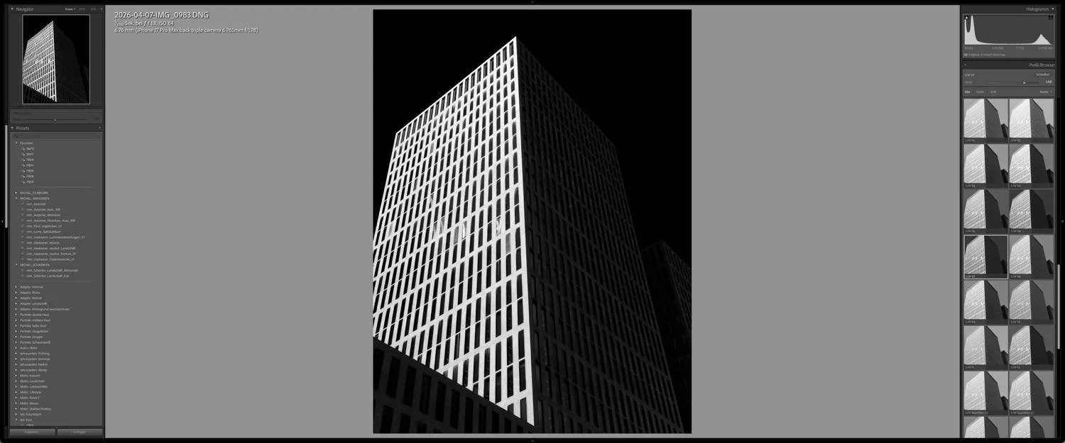 cropfactory-webinar-michel-mayerle-schwarzweiss-techniken-mit-lightroom-und-photoshop-02.jpg