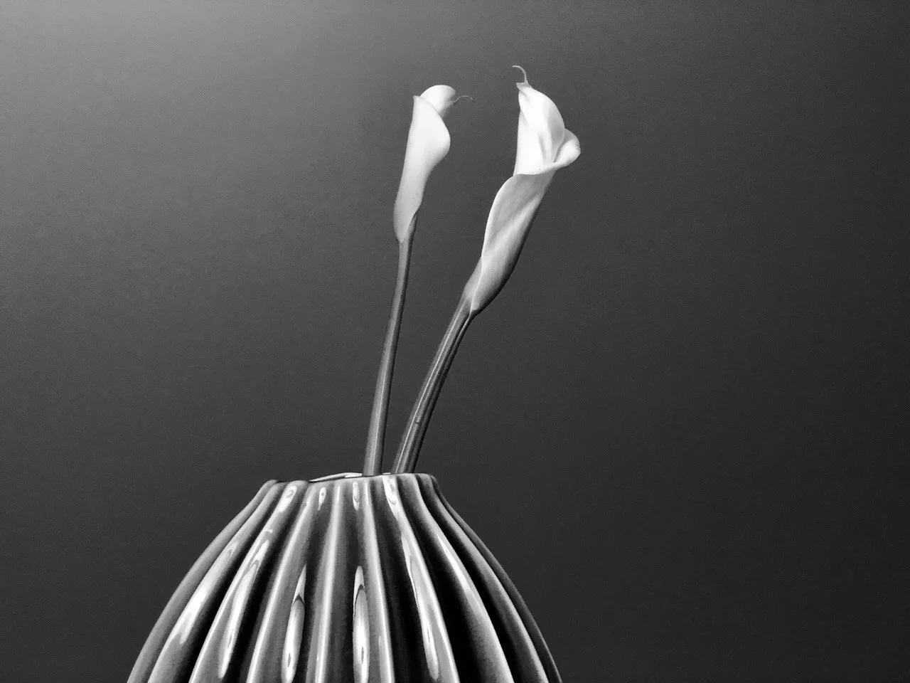 Deluxe_Living_Room - 4.jpeg