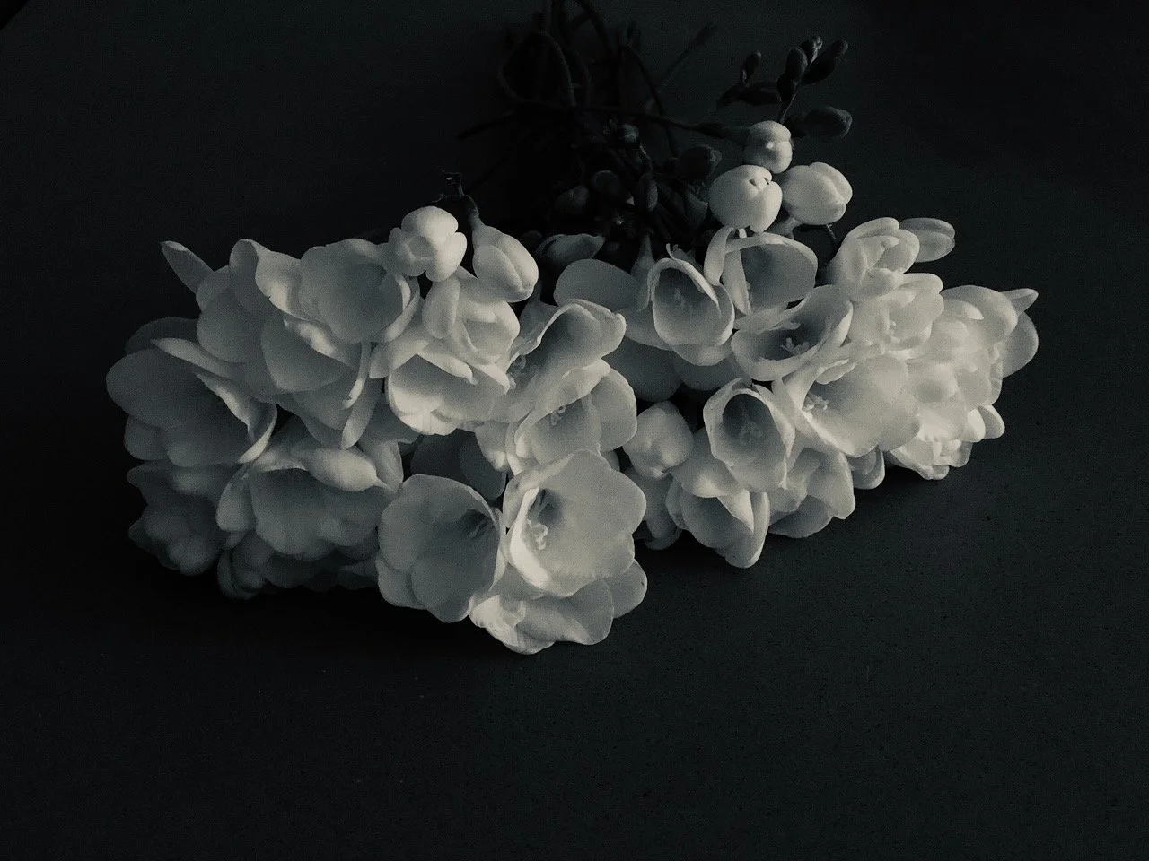 Deluxe_Living_Room - 6.jpeg