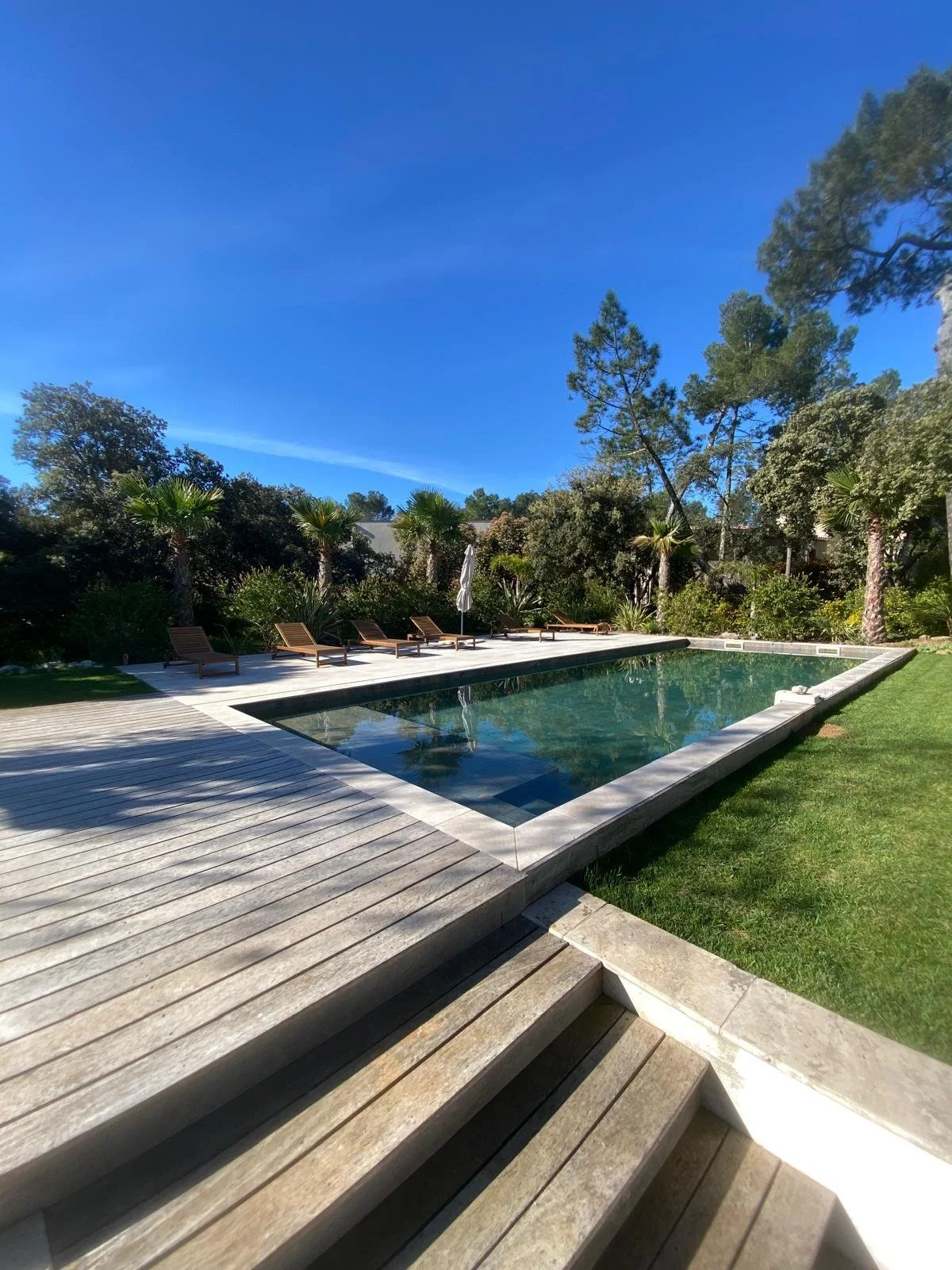 PHOTO-2025-07-10-12-30-33 (2).jpg