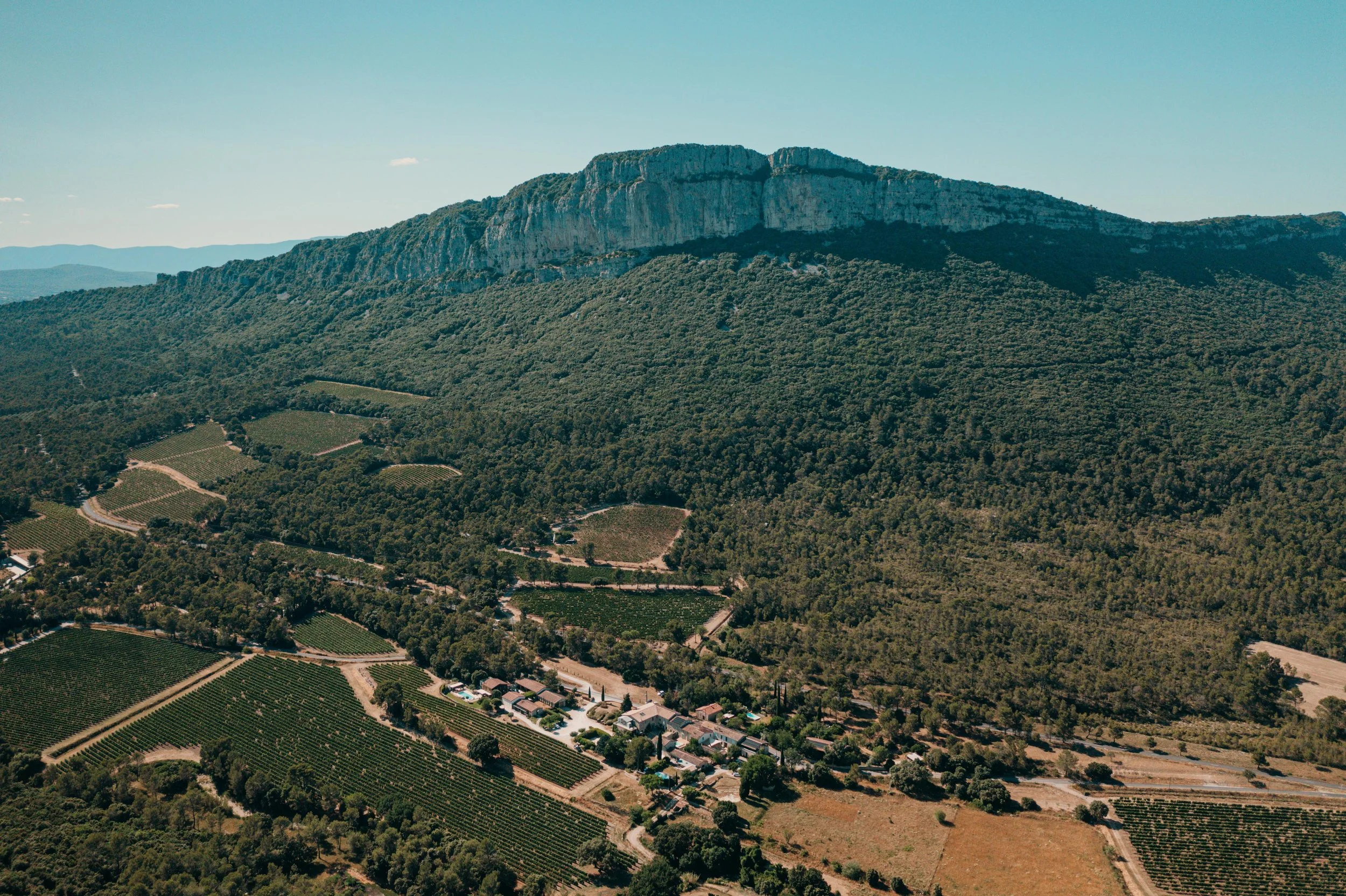 ©11H11 PROD-FALLONE-PIC ST LOUP 07-2025-2.jpg