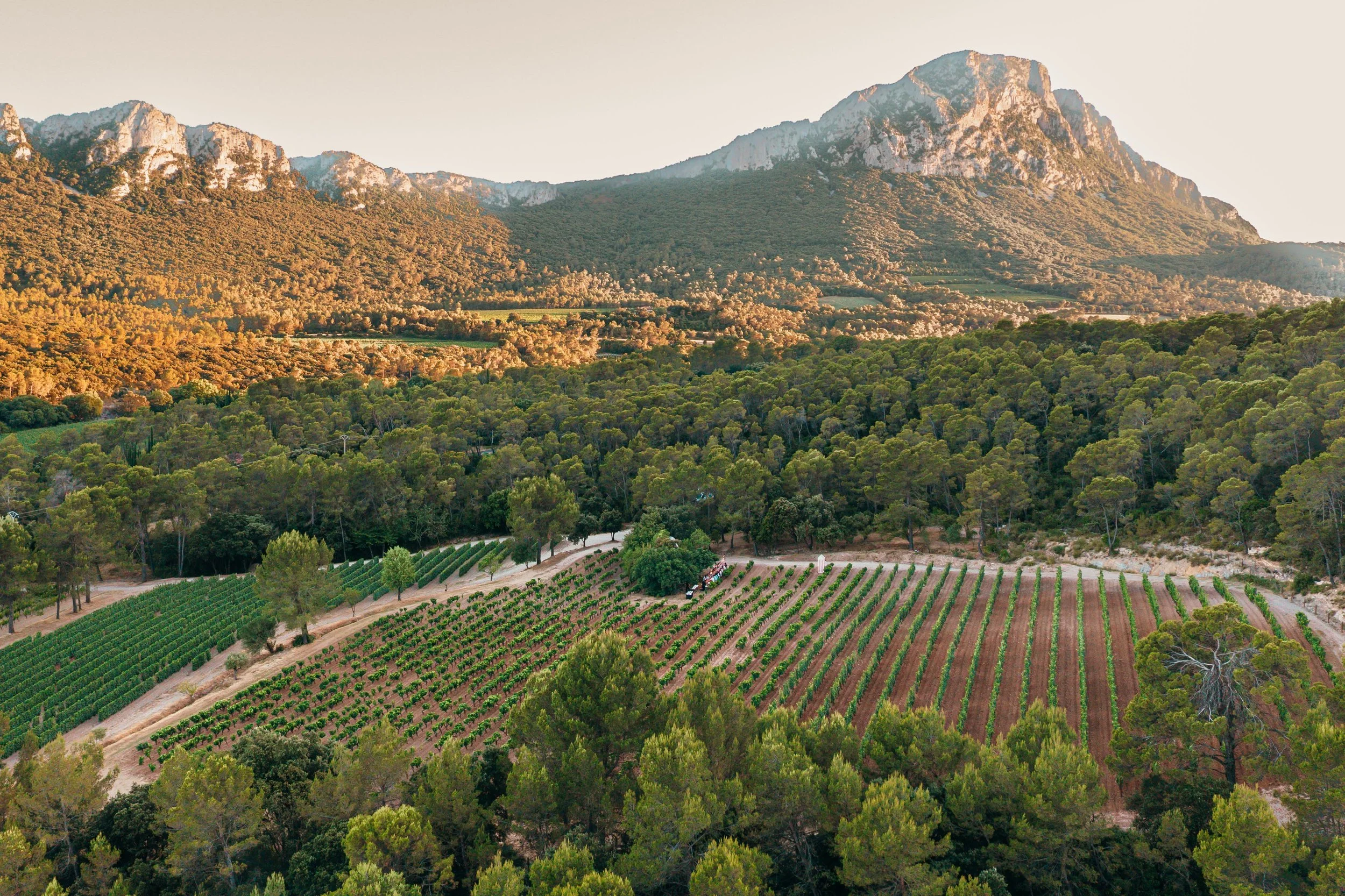 ©11H11 PROD-FALLONE-PIC ST LOUP 07-2025-52.jpg