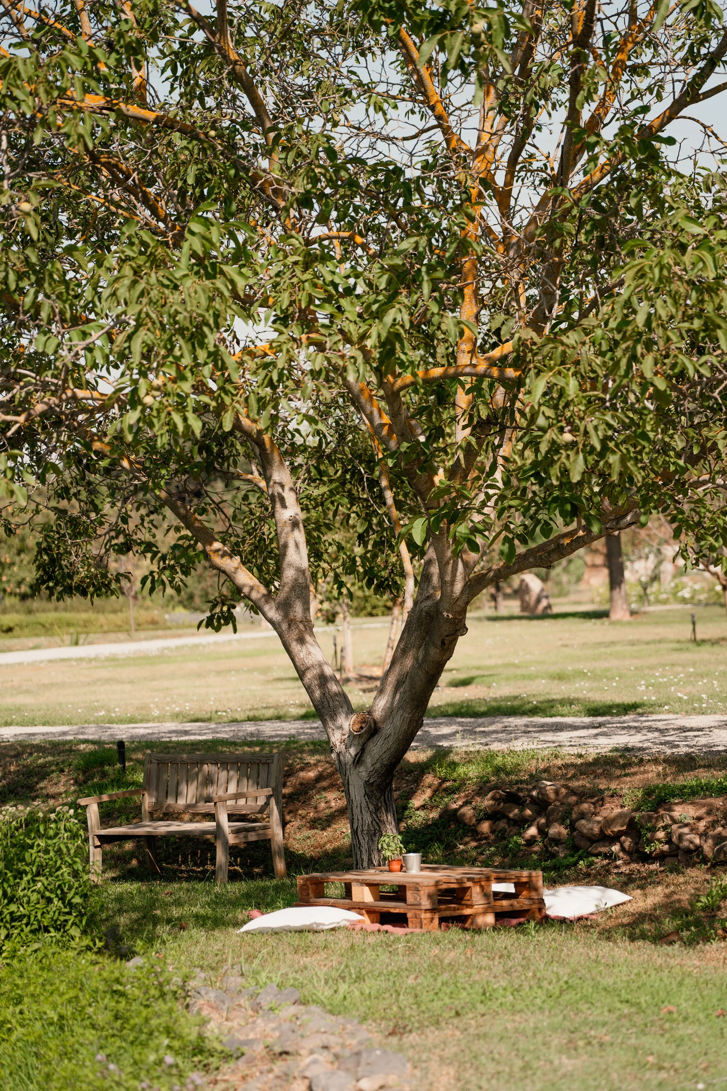 La Dourbie - 28juillet24 - ©MelodyPallas -47.jpg