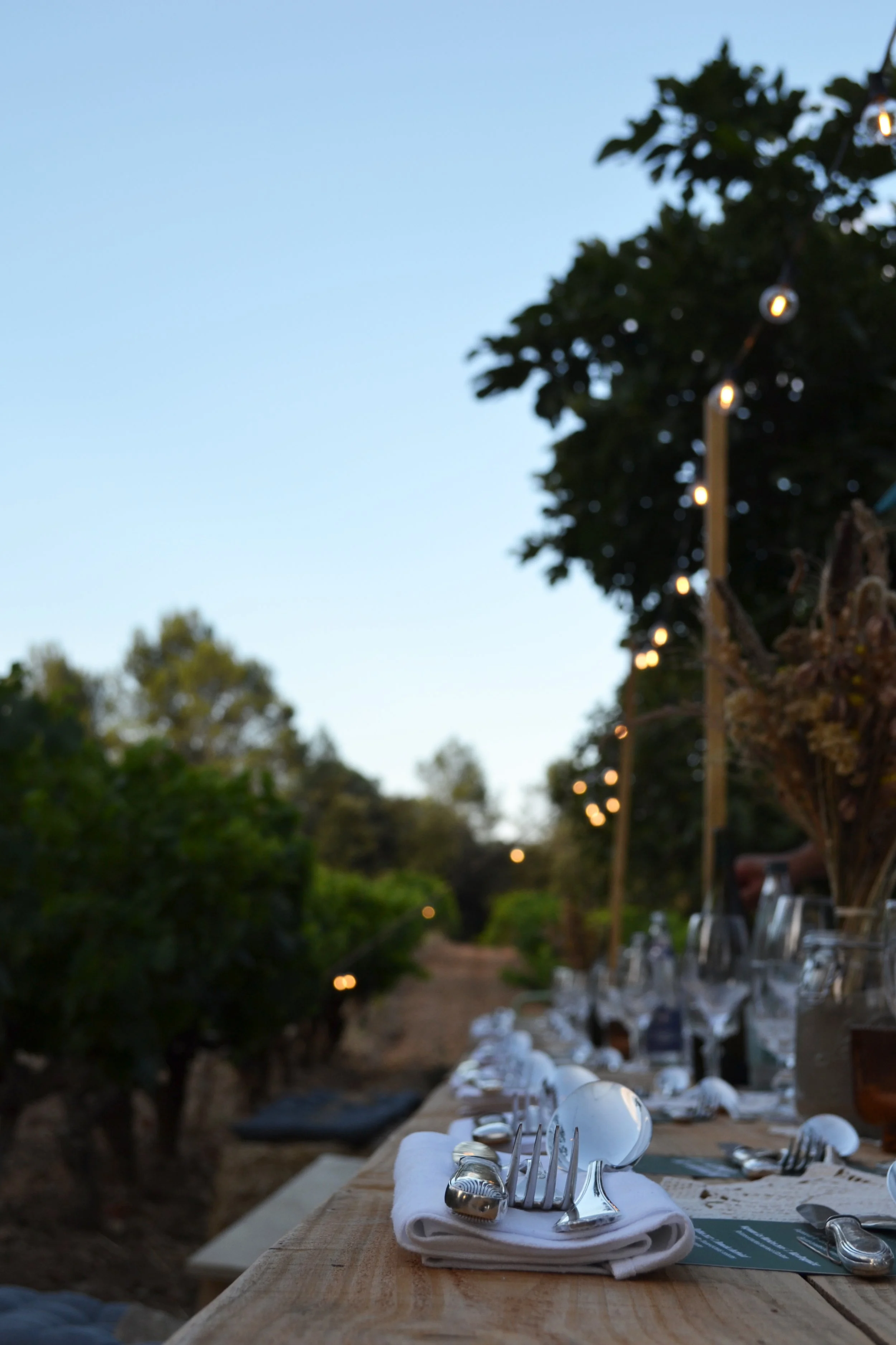 soirée immersive au pic saint loup