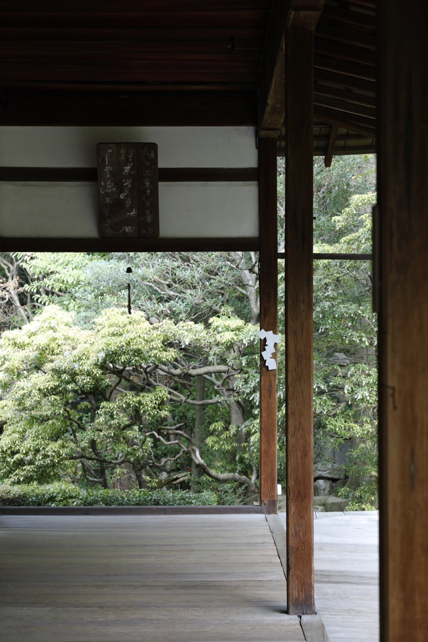 Photo: Takeru Koroda