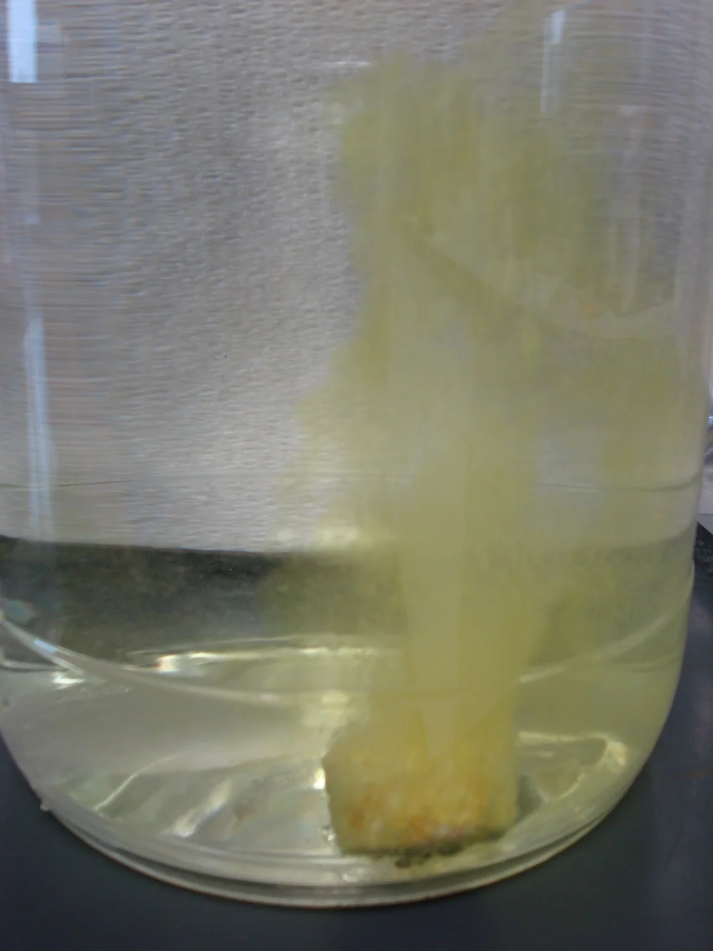 Odor Control / Chlorine Dioxide — Beckart Environmental Industrial