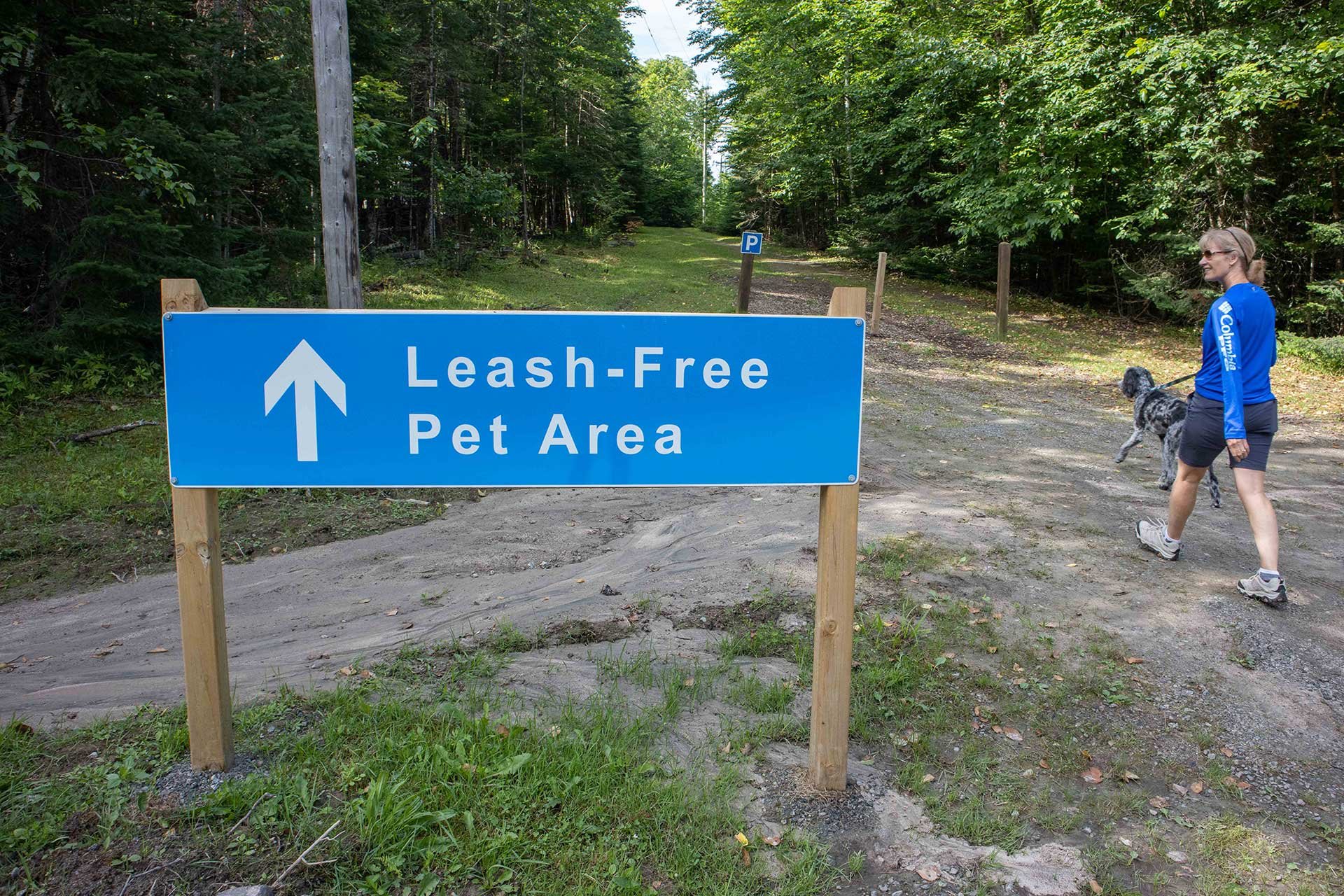 Walking towards an off-leash area for dogs at an Ontario Provincial Park.