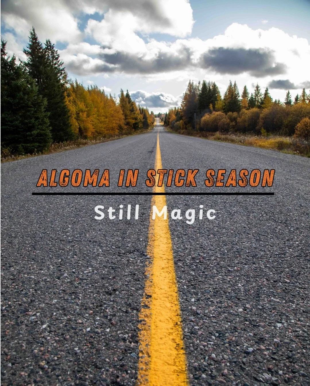Bare trees, quiet trails, and that moody northern light&hellip; stick season hits different in Algoma. 🍂

While everyone waits for the snow to fly, this in-between moment brings its own kind of beauty: empty lookouts, glassy lakes, and ridge lines y