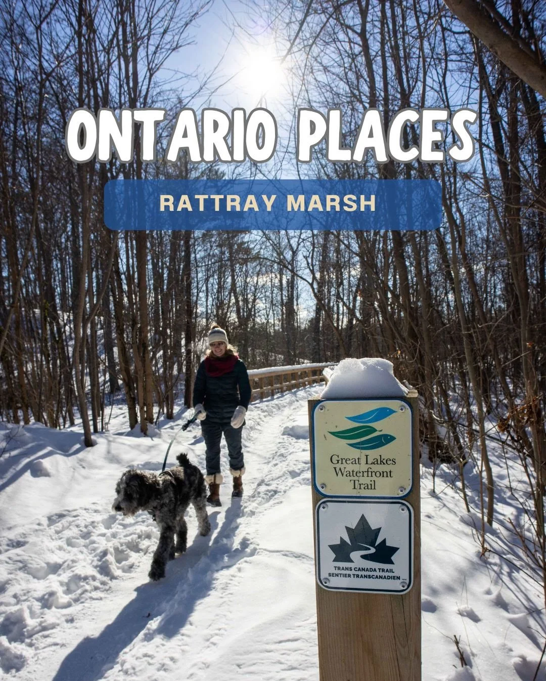 The Great Lakes Waterfront Trail is often thought of as a cycling route &mdash; but it&rsquo;s so much more.

This multi-use trail also welcomes walkers, and some sections are designated pedestrian-only, such as Rattray Marsh Conservation Area in Mis